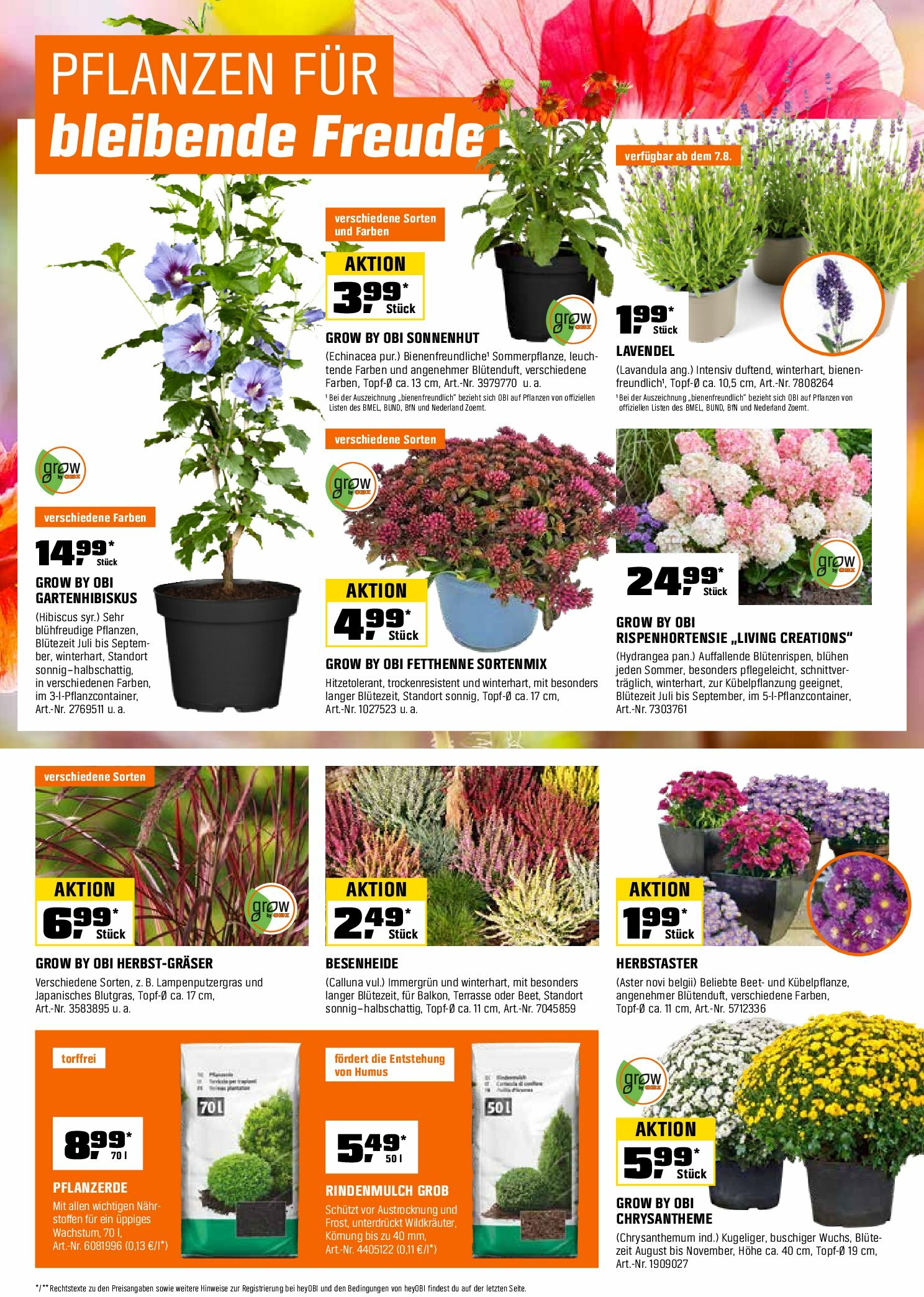 obi - Obi-Prospekt gültig vom 15.08. bis 31.08. - page: 22