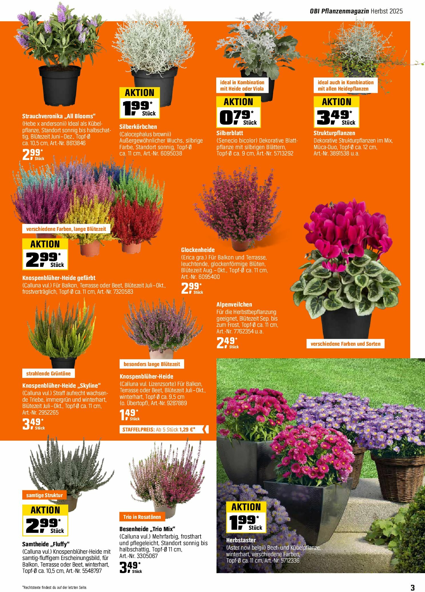 obi - Obi - Herbstzeit ist Pflanzzeit-Prospekt gültig vom 01.09. bis 18.10. - page: 3