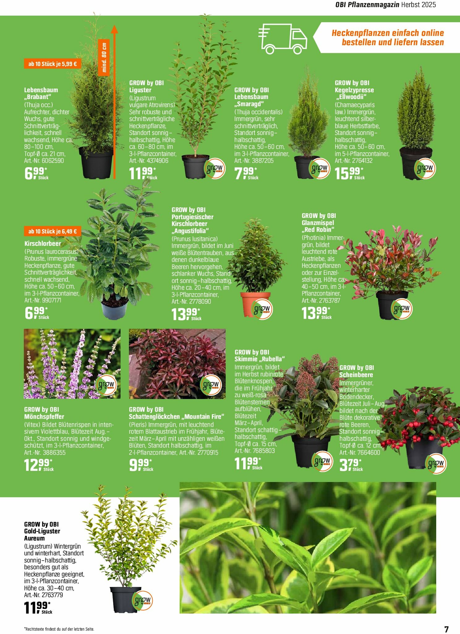 obi - Obi - Herbstzeit ist Pflanzzeit-Prospekt gültig vom 01.09. bis 18.10. - page: 7