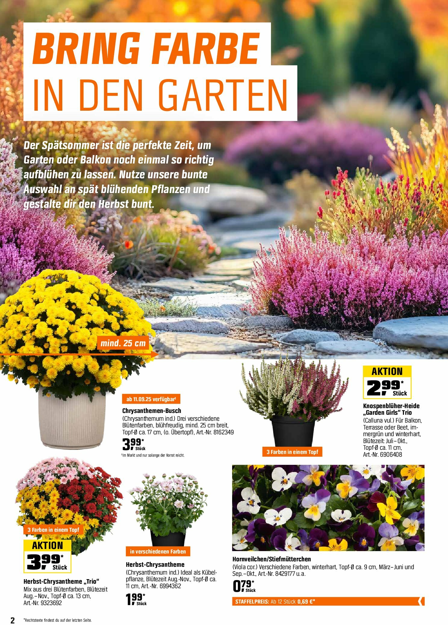 obi - Obi - Herbstzeit ist Pflanzzeit-Prospekt gültig vom 01.09. bis 18.10. - page: 2