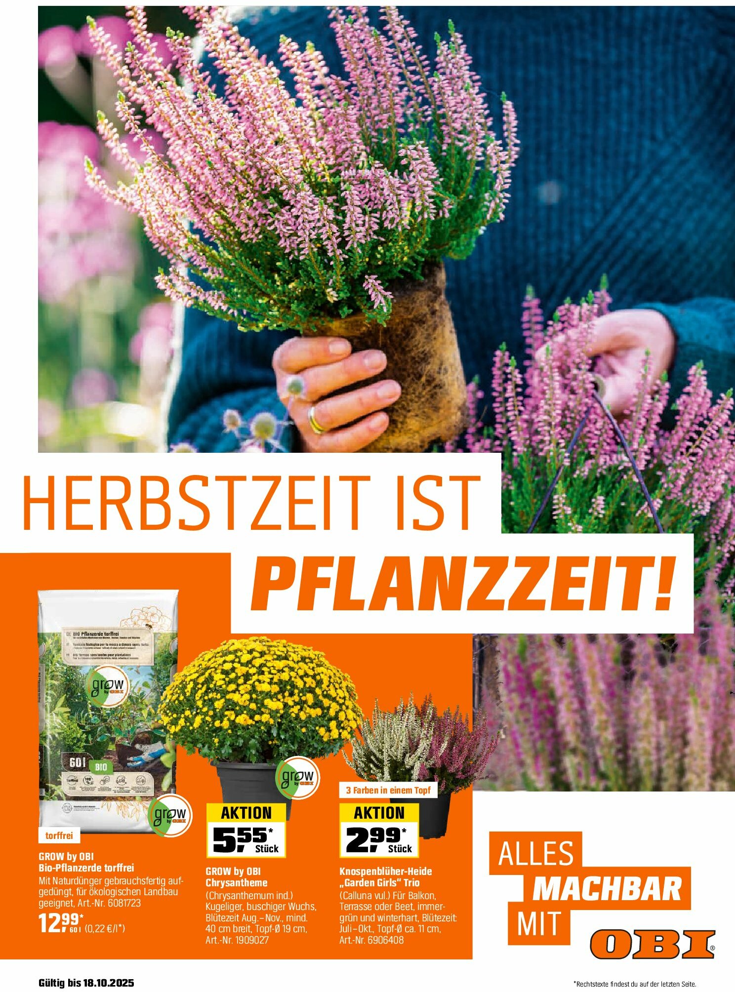 obi - Obi - Herbstzeit ist Pflanzzeit-Prospekt gültig vom 01.09. bis 18.10.