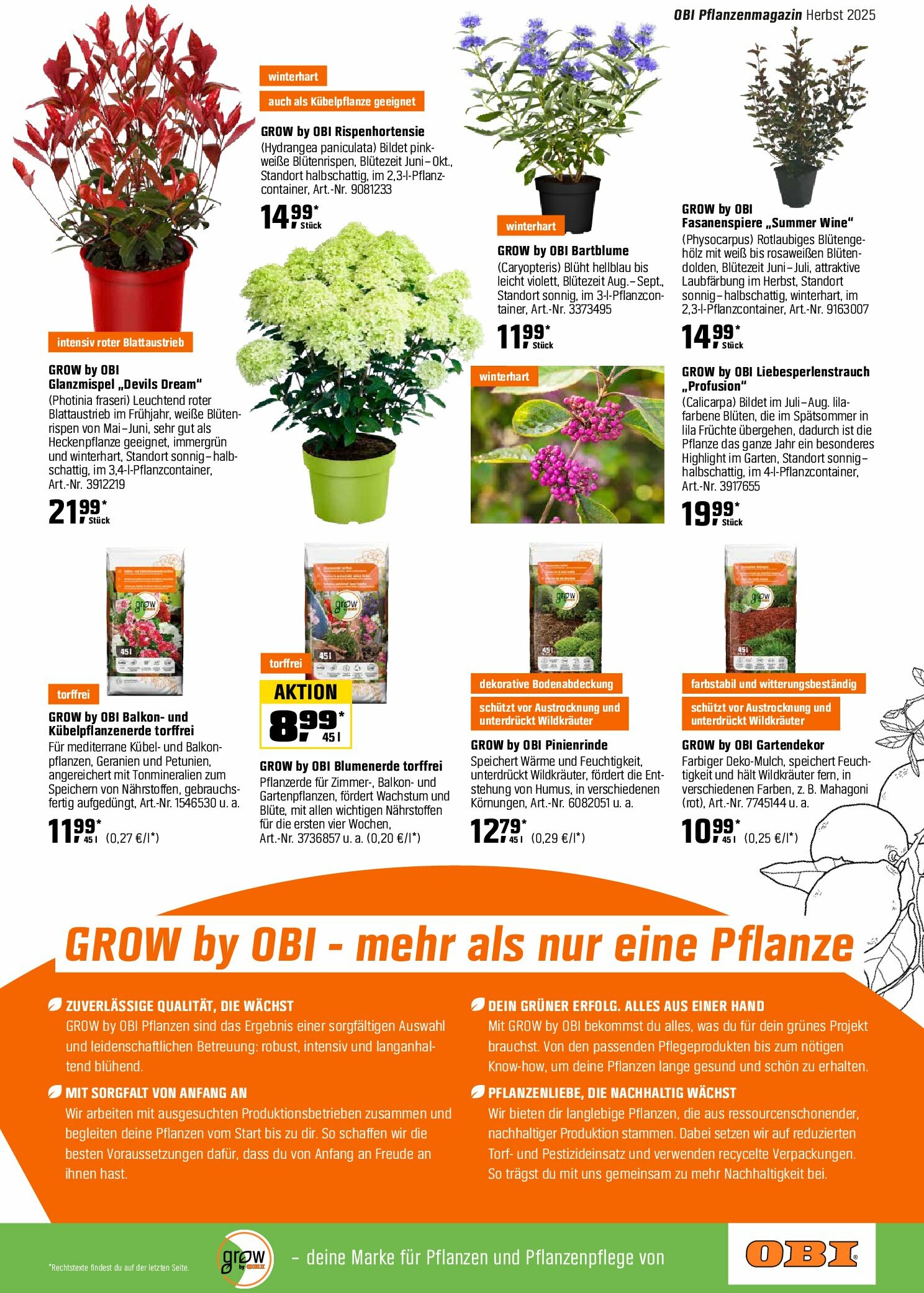 obi - Obi - Herbstzeit ist Pflanzzeit-Prospekt gültig vom 01.09. bis 18.10. - page: 17