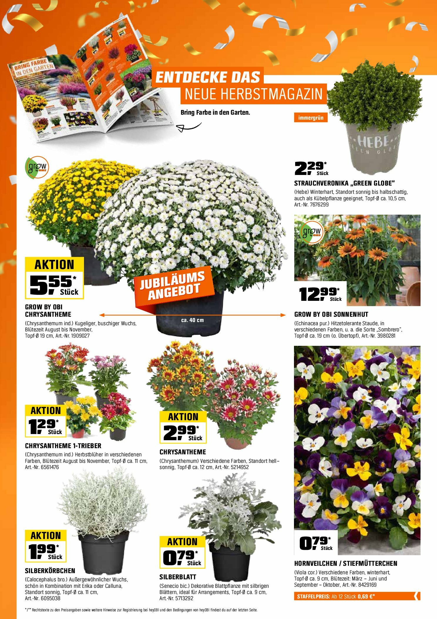 obi - Obi-Prospekt gültig vom 01.09. bis 14.09. - page: 6