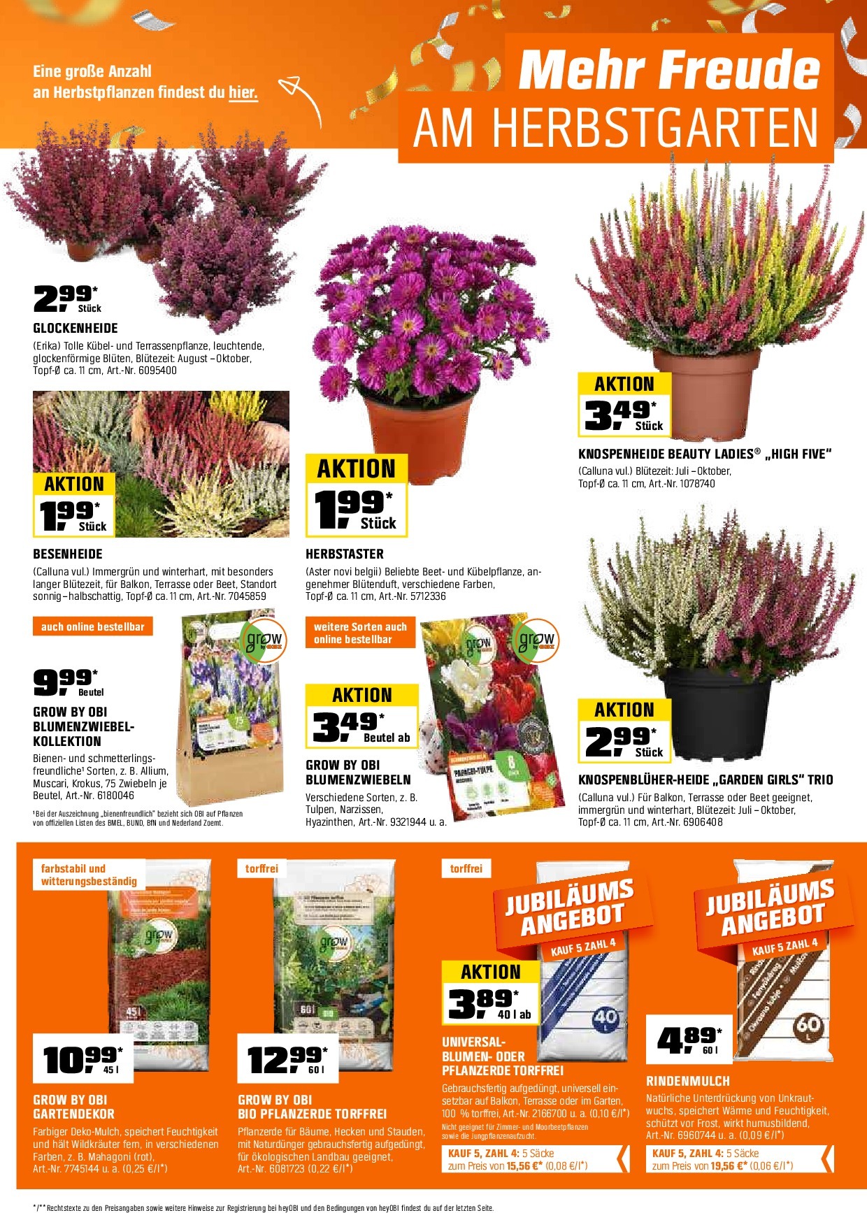 obi - Obi-Prospekt gültig vom 15.09. bis 30.09. - page: 13