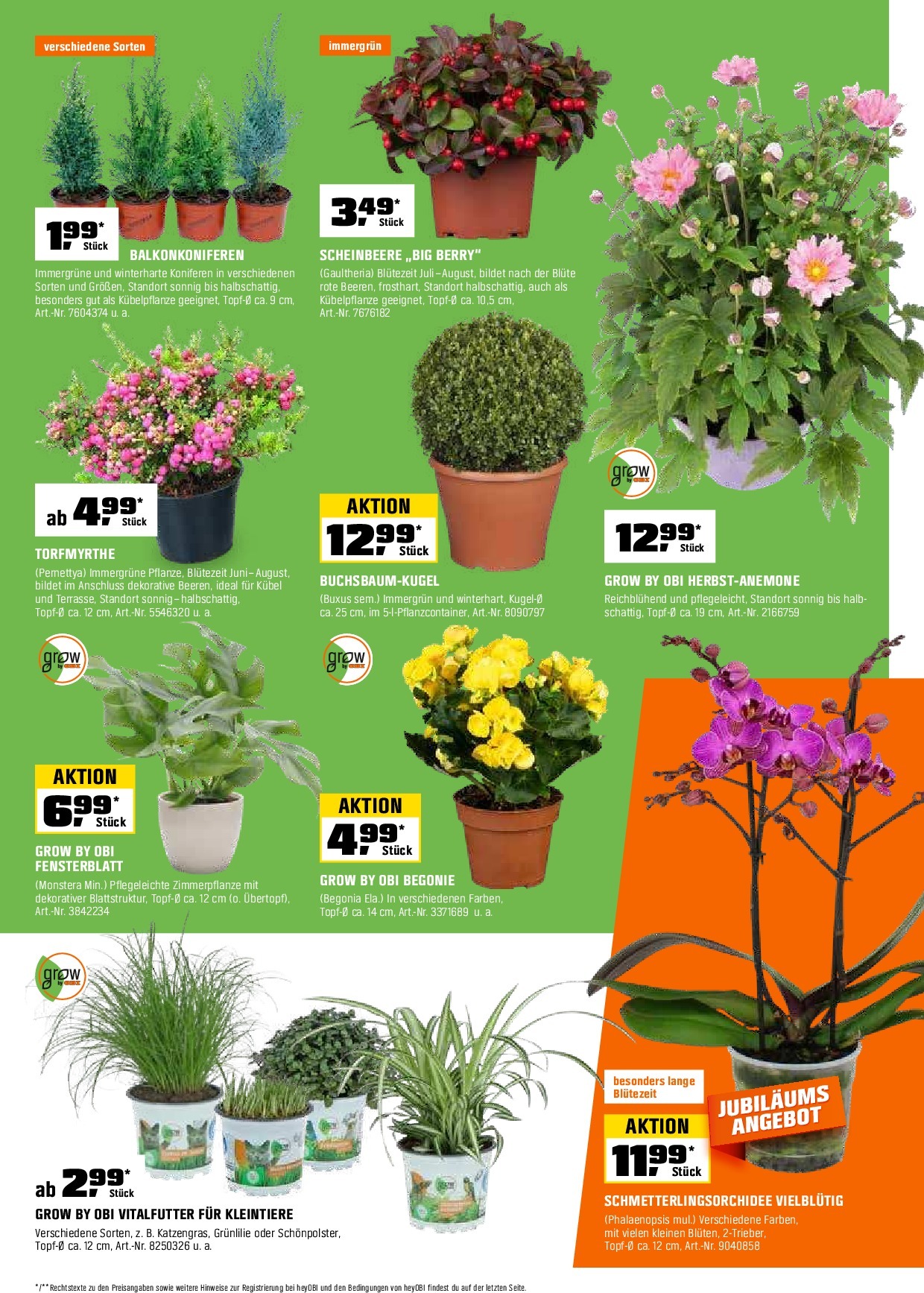 obi - Obi-Prospekt gültig vom 15.09. bis 30.09. - page: 14