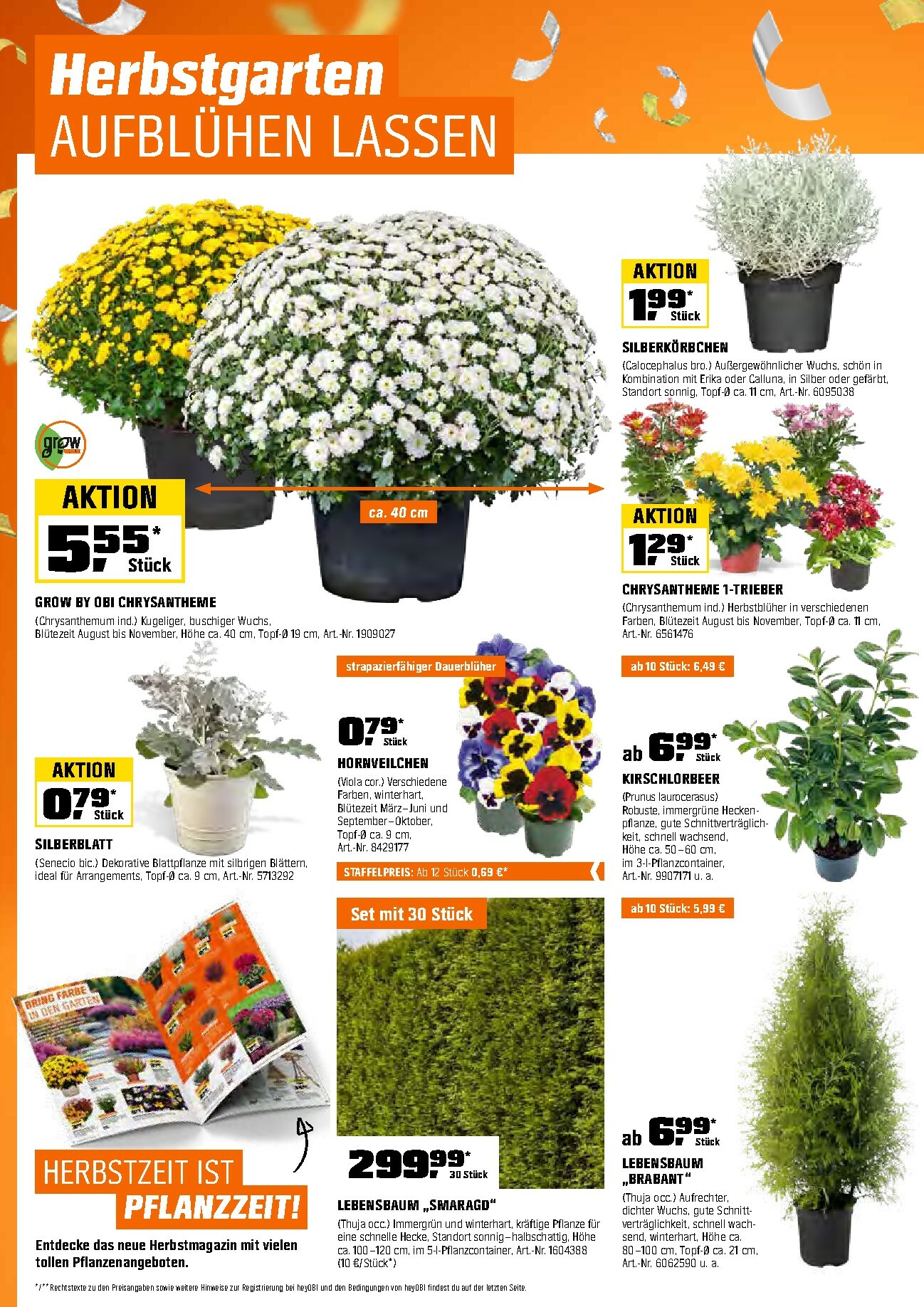 obi - Obi-Prospekt gültig vom 01.10. bis 15.10. - page: 6