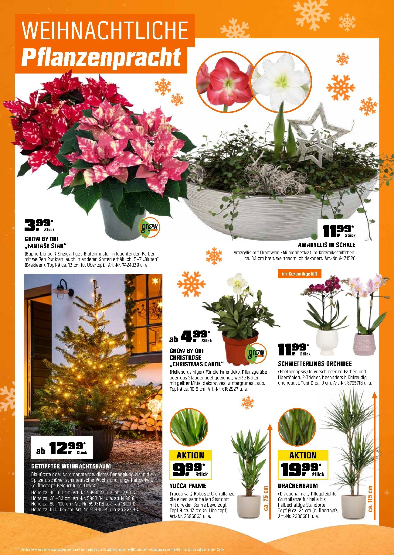 obi - Obi-Prospekt gültig vom 15.12. bis 31.12. - page: 10