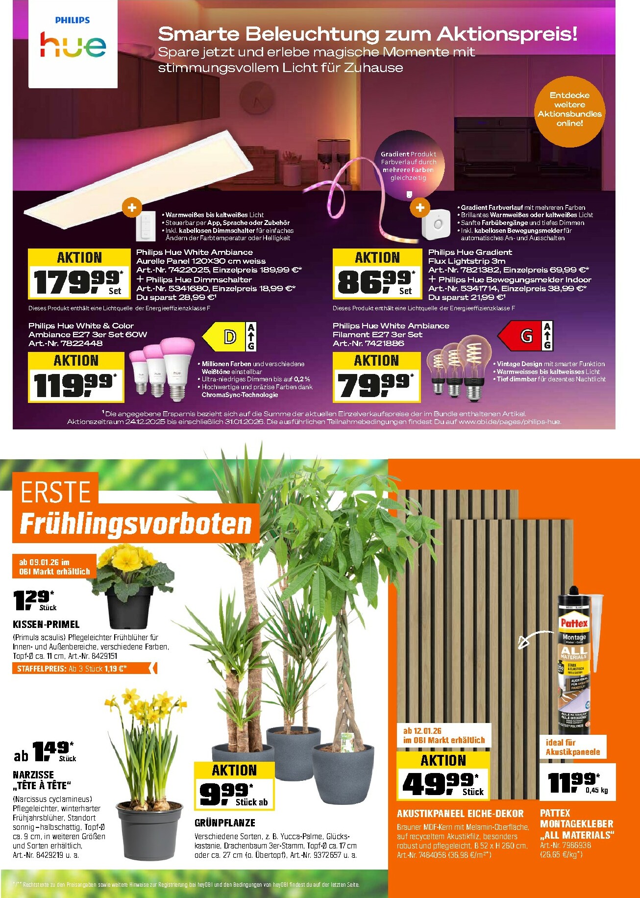 obi - Obi-Prospekt gültig vom 01.01. bis 31.01. - page: 9