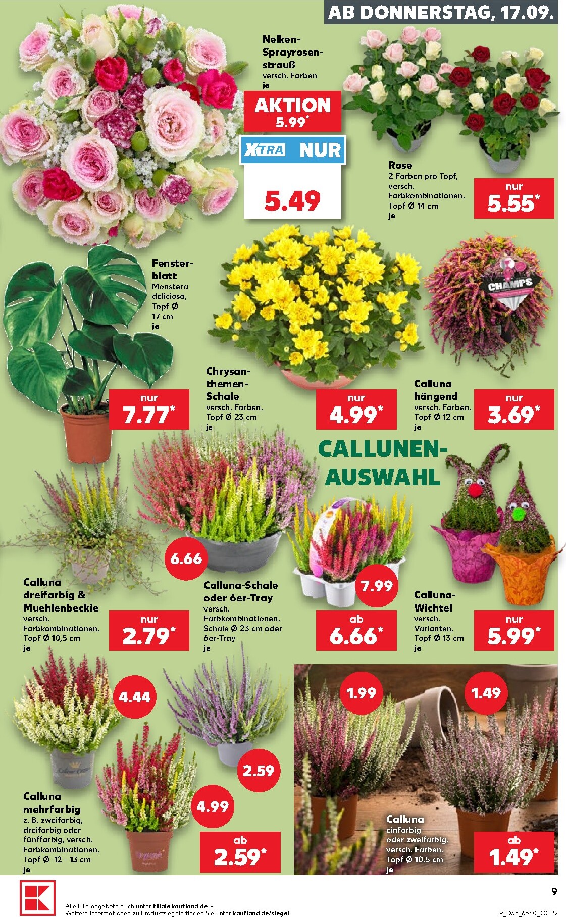 kaufland - Kaufland Prospekt nächste Woche – von Donnerstag 17.09.2026 bis Mittwoch 23.09.2026 - page: 9