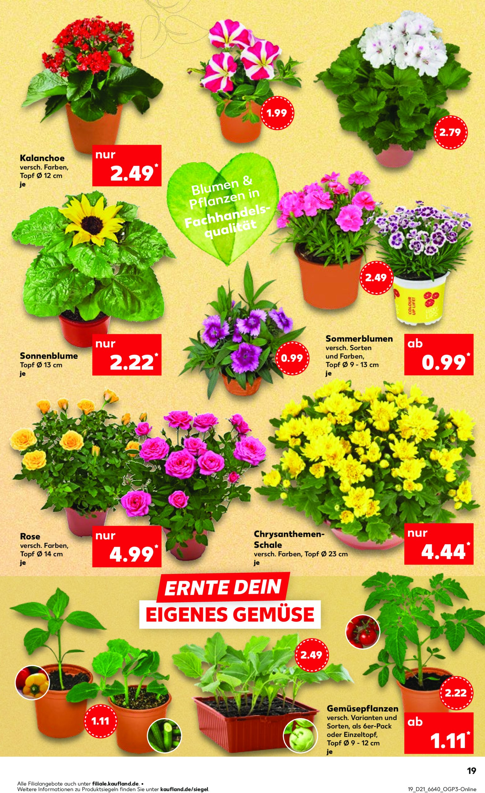 kaufland - Kaufland-Prospekt gültig von 22.05. bis 28.05. - page: 19 kaufland - Kaufland-Prospekt gültig von 22.05. bis 28.05. - page: 19