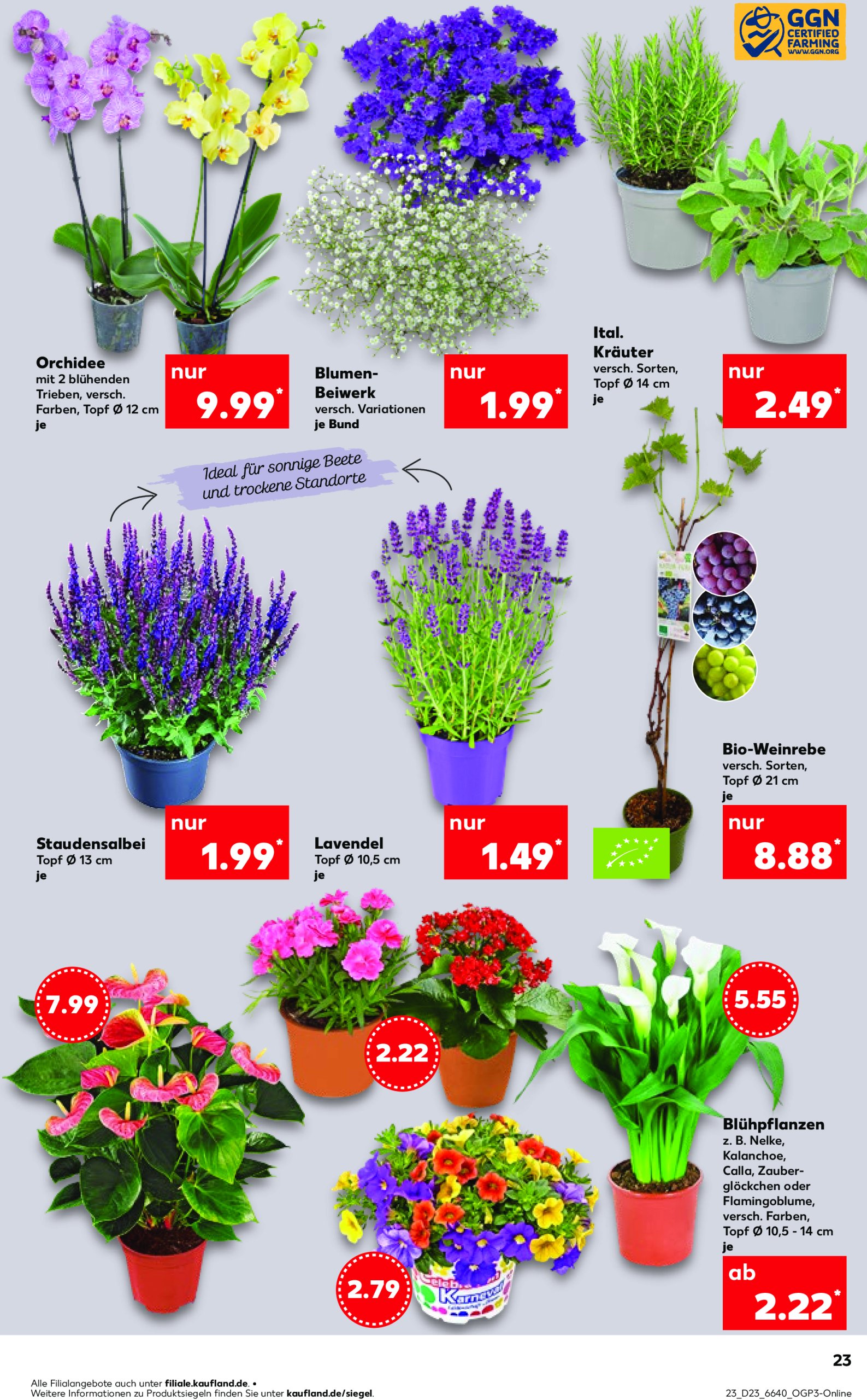 kaufland - Kaufland-Prospekt gültig von 05.06. bis 11.06. - page: 19