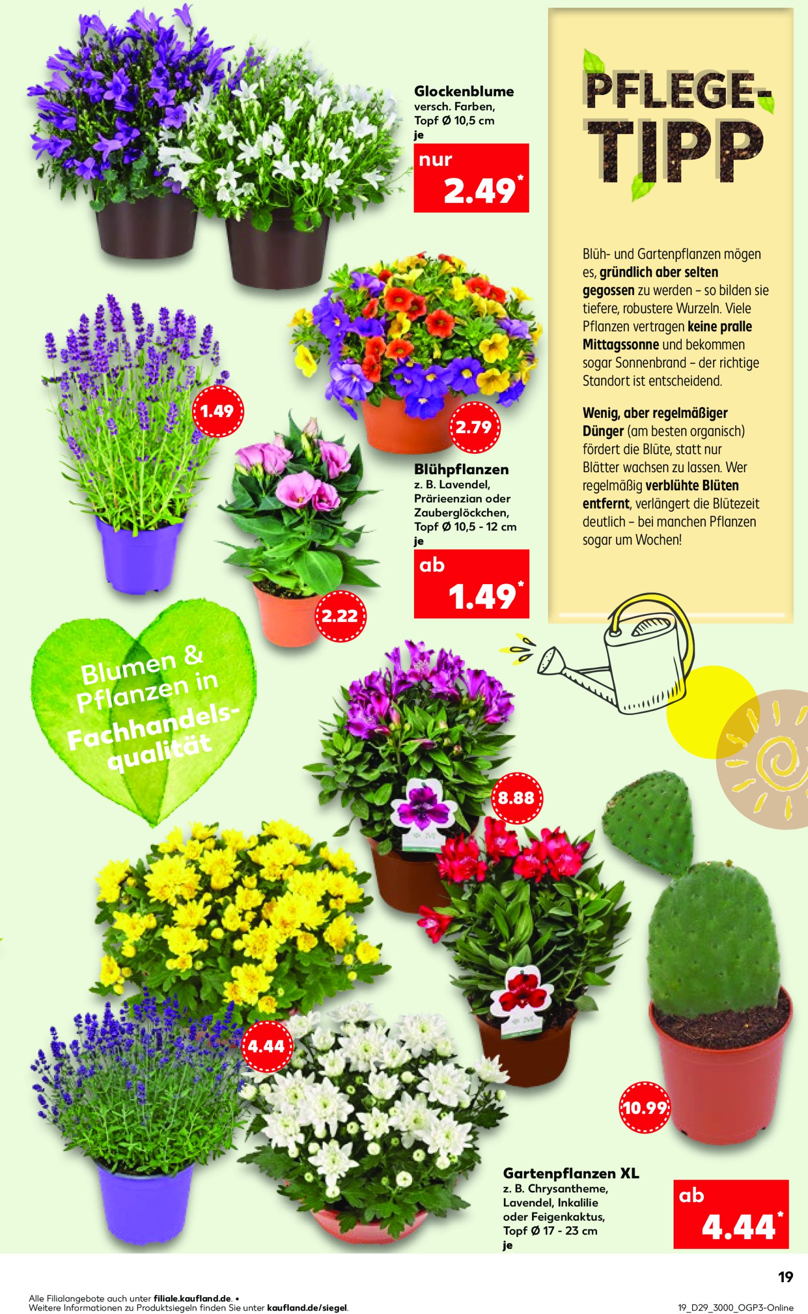 kaufland - Kaufland-Prospekt gültig vom 17.07. bis 23.07. - page: 19 kaufland - Kaufland-Prospekt gültig vom 17.07. bis 23.07. - page: 19