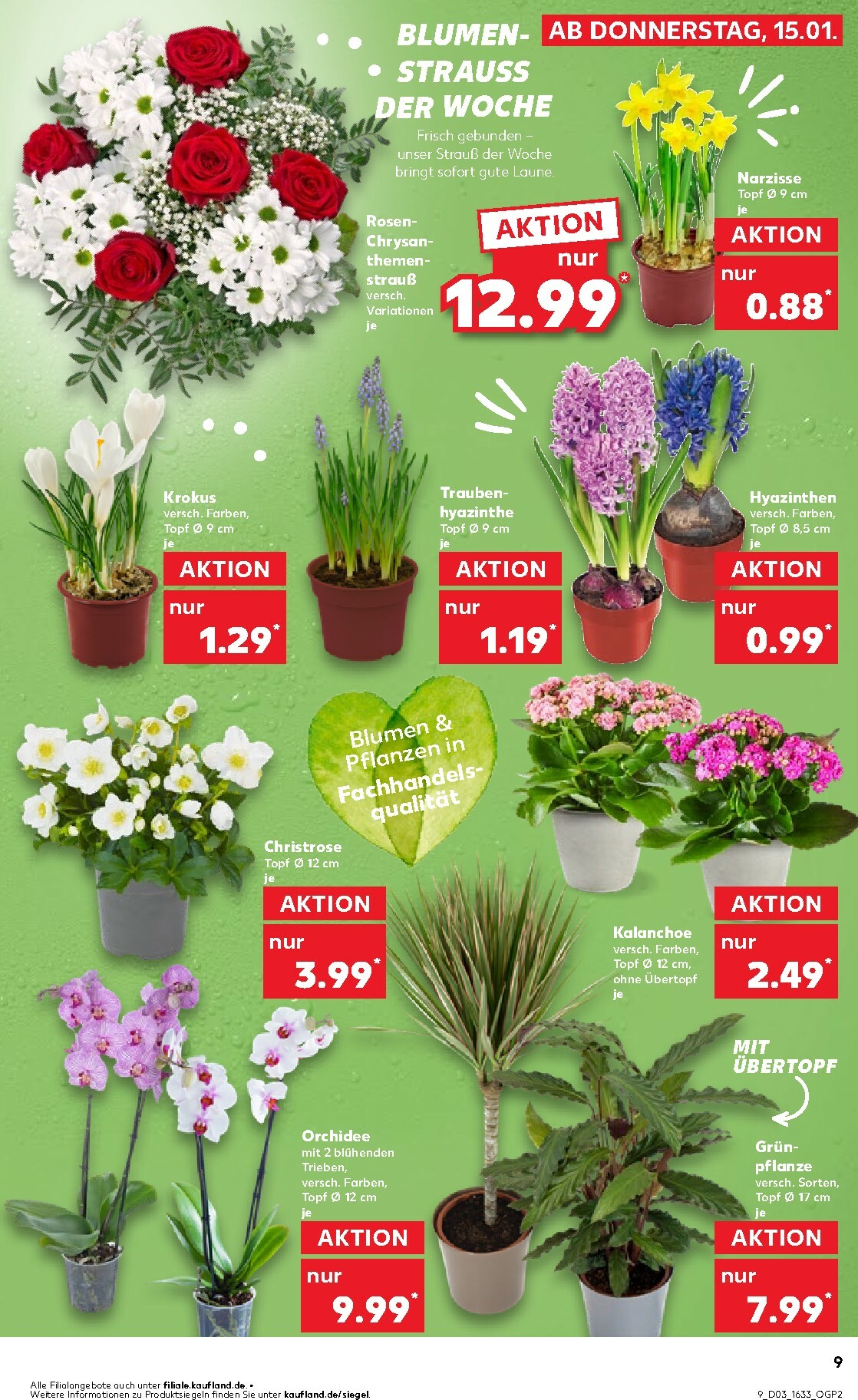 kaufland - Kaufland - Wochenstart-Prospekt gültig vom 19.01. bis 21.01. - page: 9