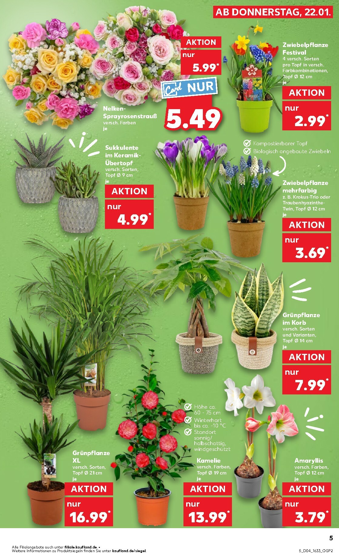 kaufland - Kaufland-Prospekt gültig vom 22.01. bis 28.01. - page: 5