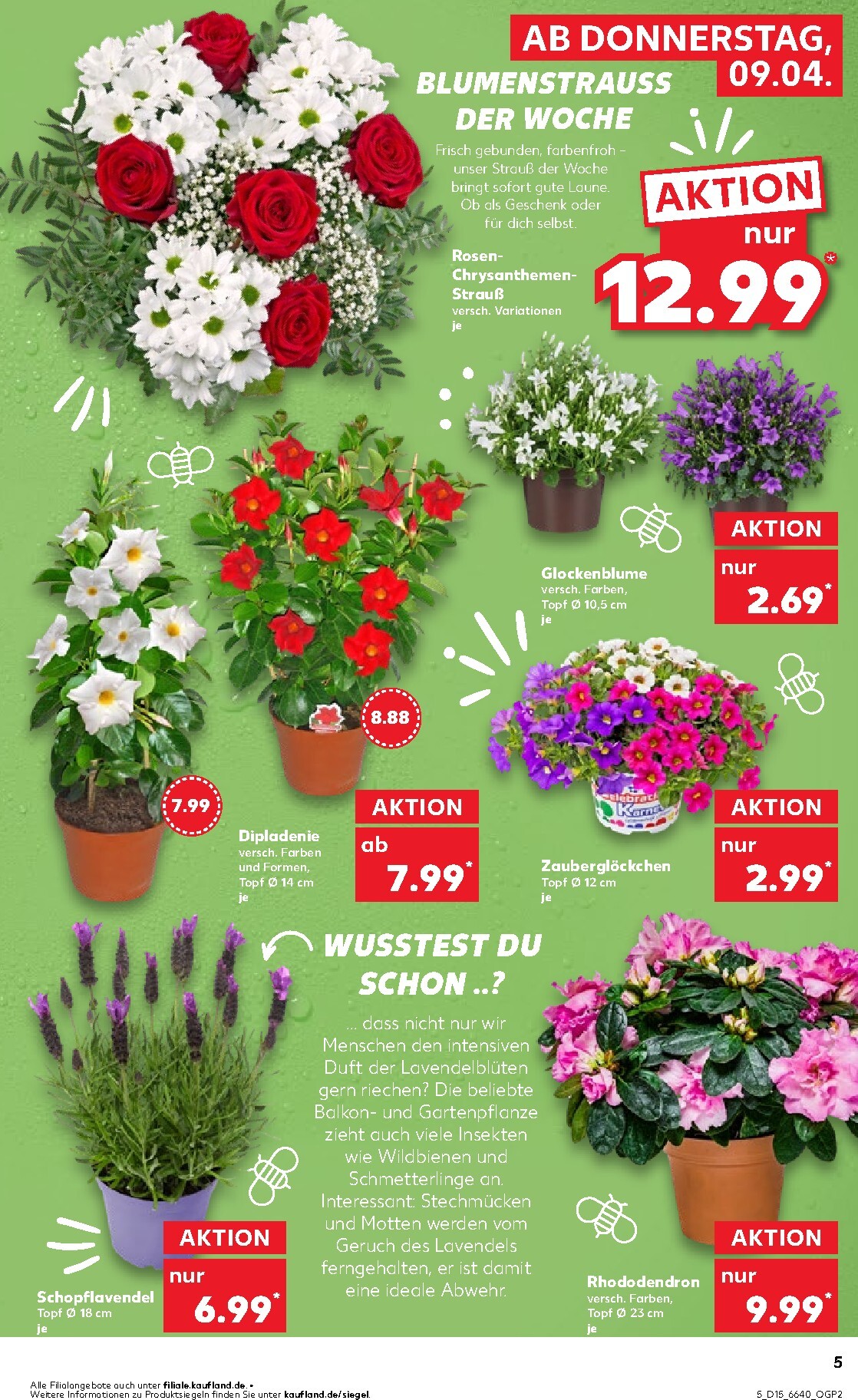 kaufland - Kaufland-Prospekt gültig vom 09.04.2026 bis 15.04.2026 - page: 5