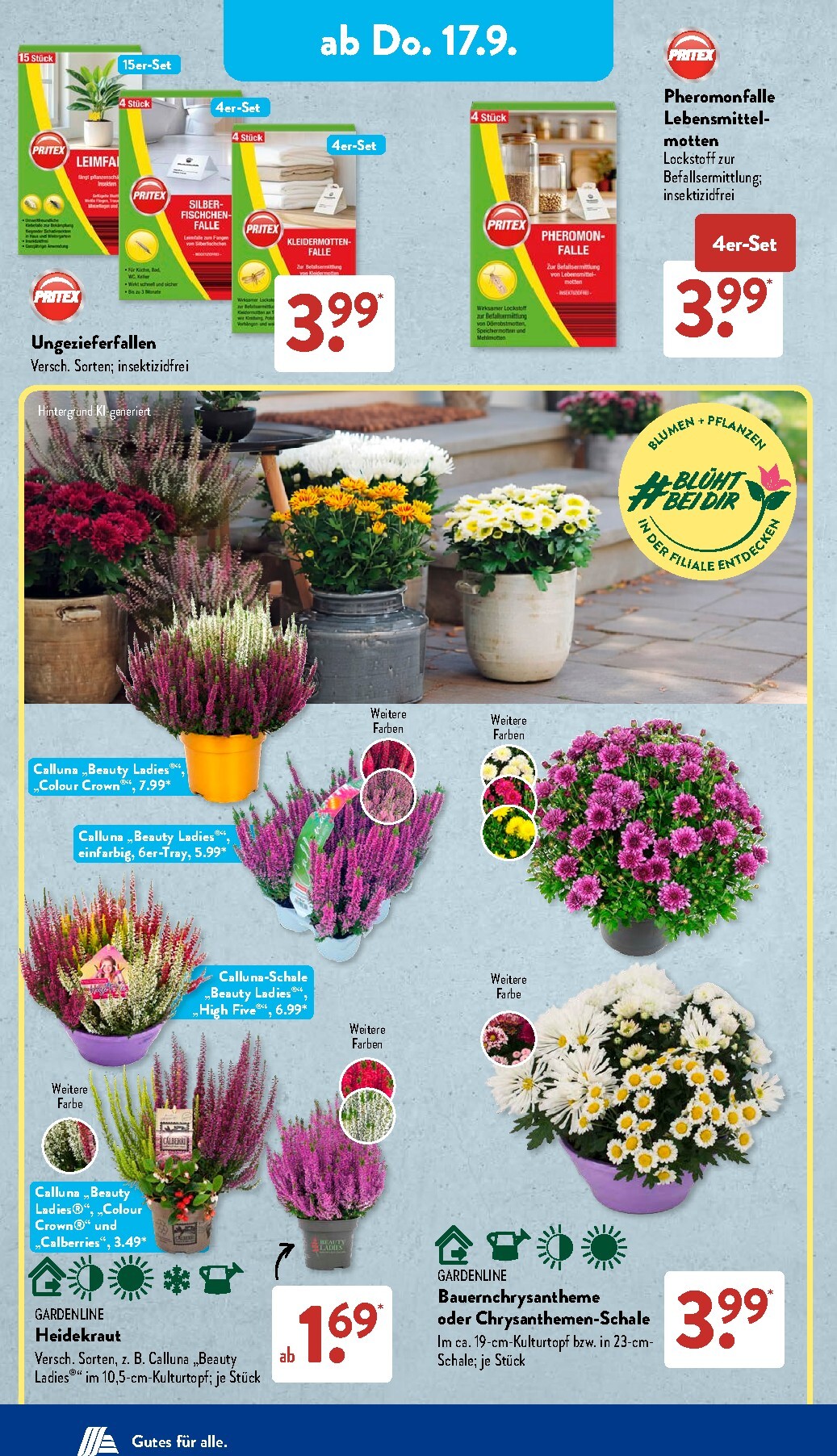 aldi - ALDI SÜD Prospekt nächste Woche – von Montag 14.09.2026 bis Samstag 19.09.2026 - page: 12
