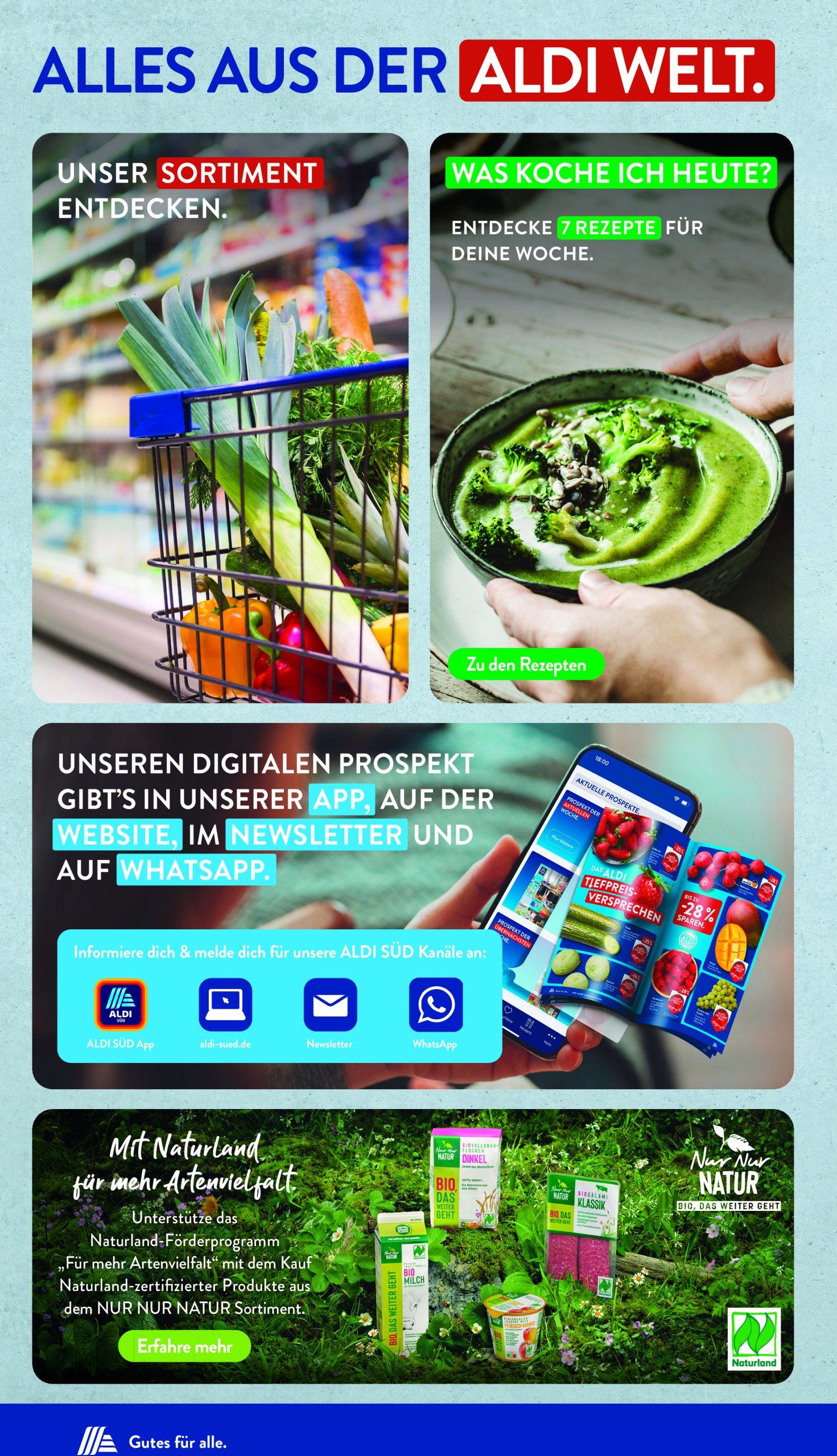 aldi - ALDI SÜD-Prospekt gültig von 26.05. bis 31.05. - page: 33