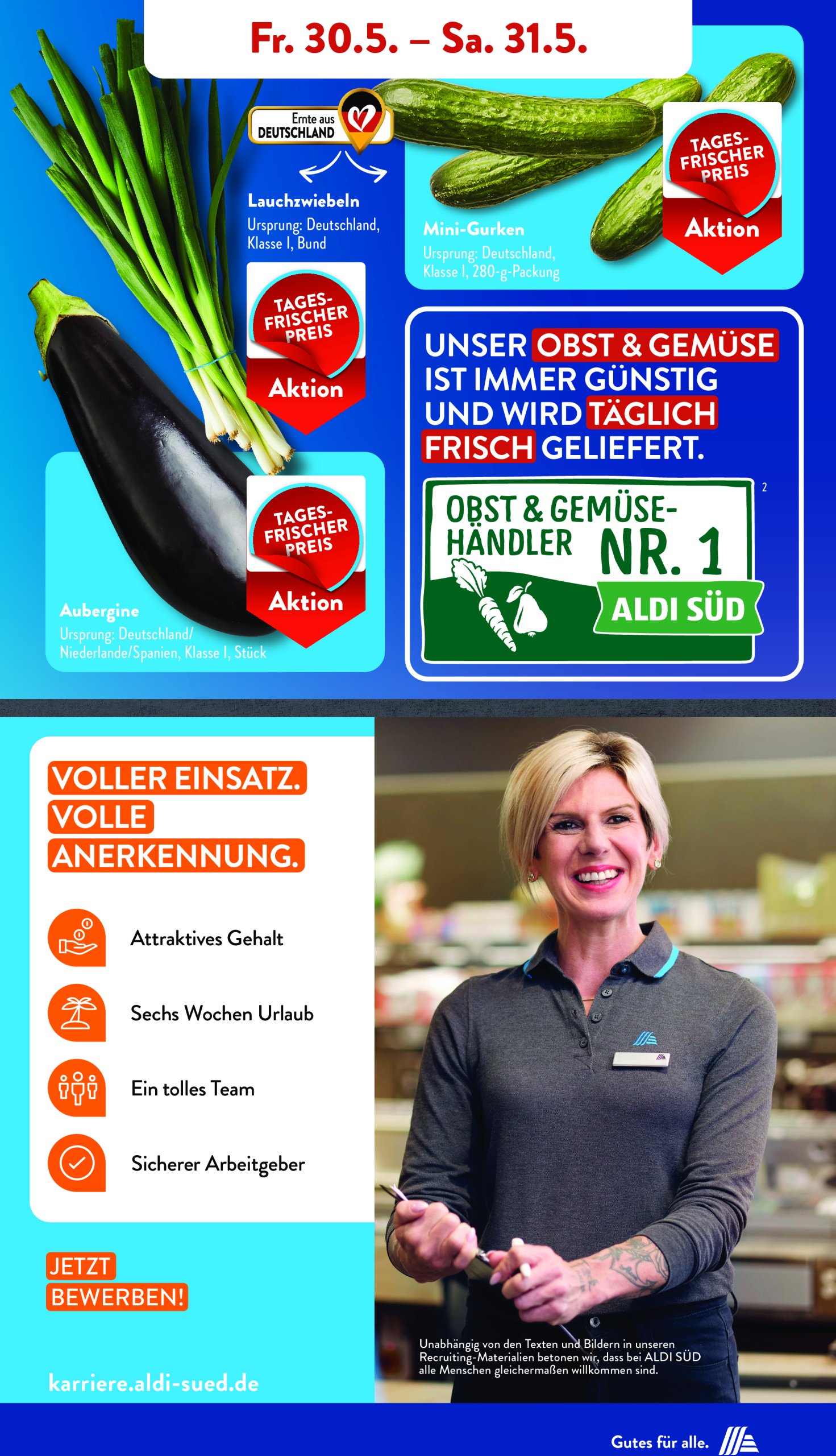 aldi - ALDI SÜD-Prospekt gültig von 26.05. bis 31.05. - page: 17