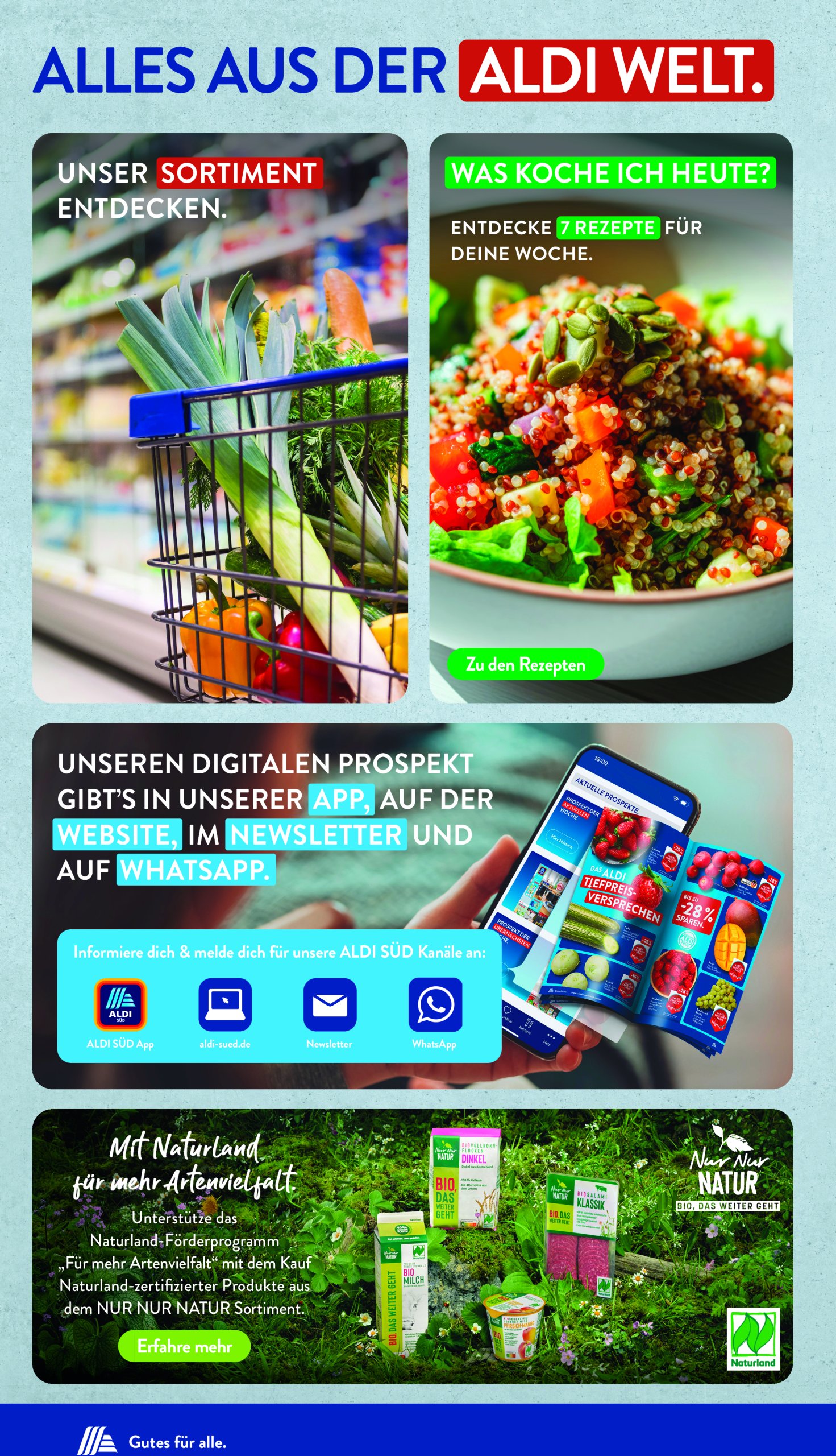 aldi - ALDI SÜD-Prospekt gültig vom 07.07. bis 12.07. - page: 34
