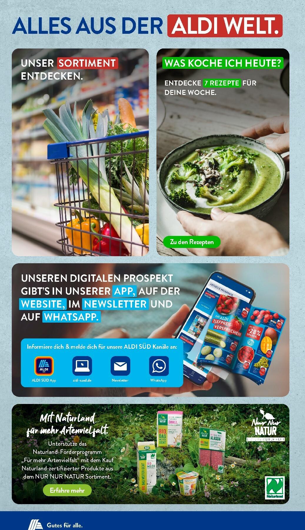 aldi - ALDI SÜD-Prospekt gültig vom 26.01. bis 31.01. - page: 24