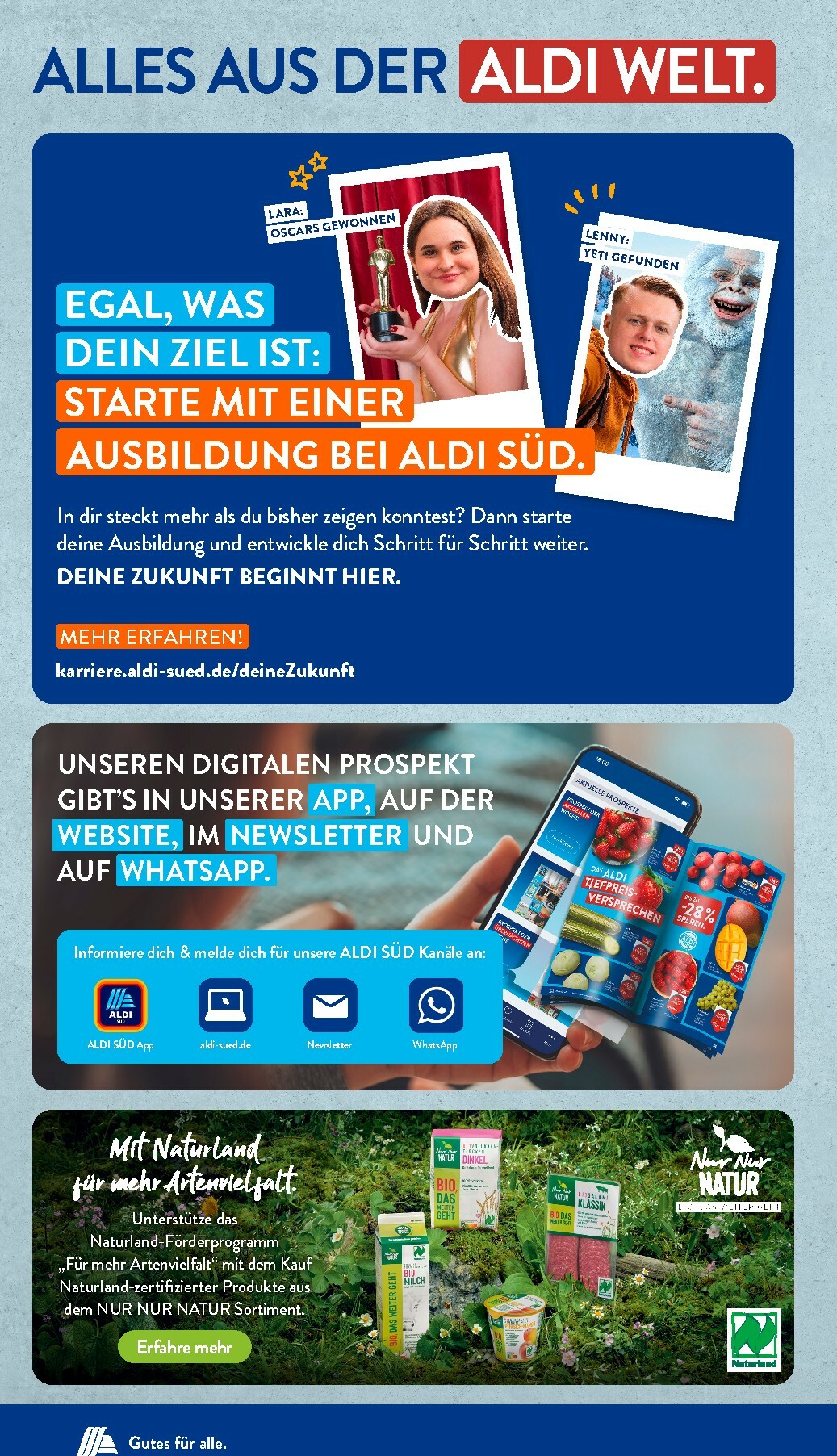 aldi - ALDI SÜD-Prospekt gültig vom 16.02.2026 bis 21.02.2026 - page: 35