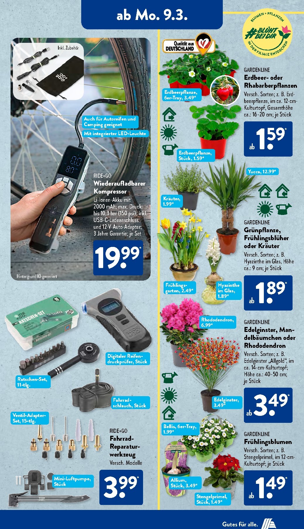 aldi - ALDI SÜD-Prospekt gültig vom 09.03.2026 bis 14.03.2026 - page: 5