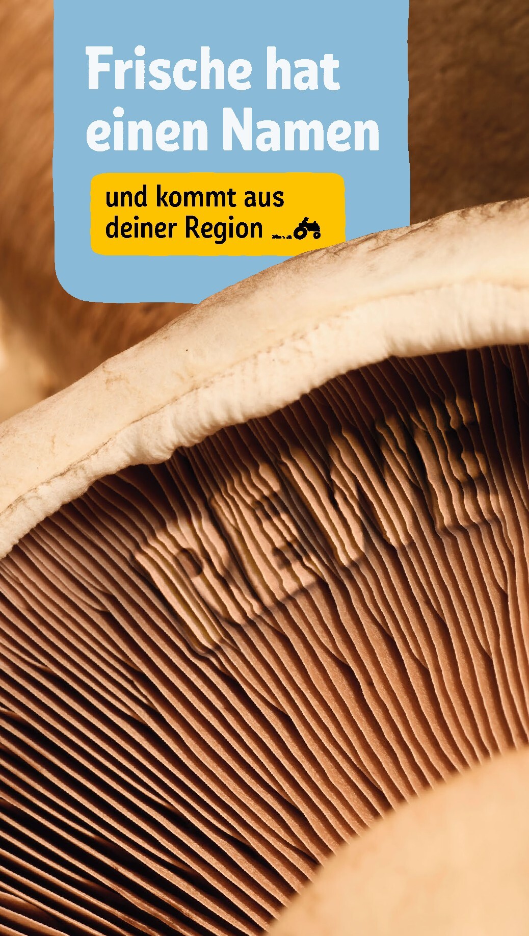 rewe - Rewe Prospekt nächste Woche – von Montag 27.07.2026 bis Sonntag 02.08.2026 - page: 21