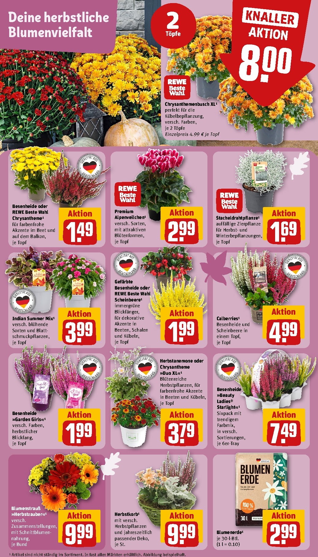 rewe - Rewe Prospekt nächste Woche – von Montag 14.09.2026 bis Sonntag 20.09.2026 - page: 5