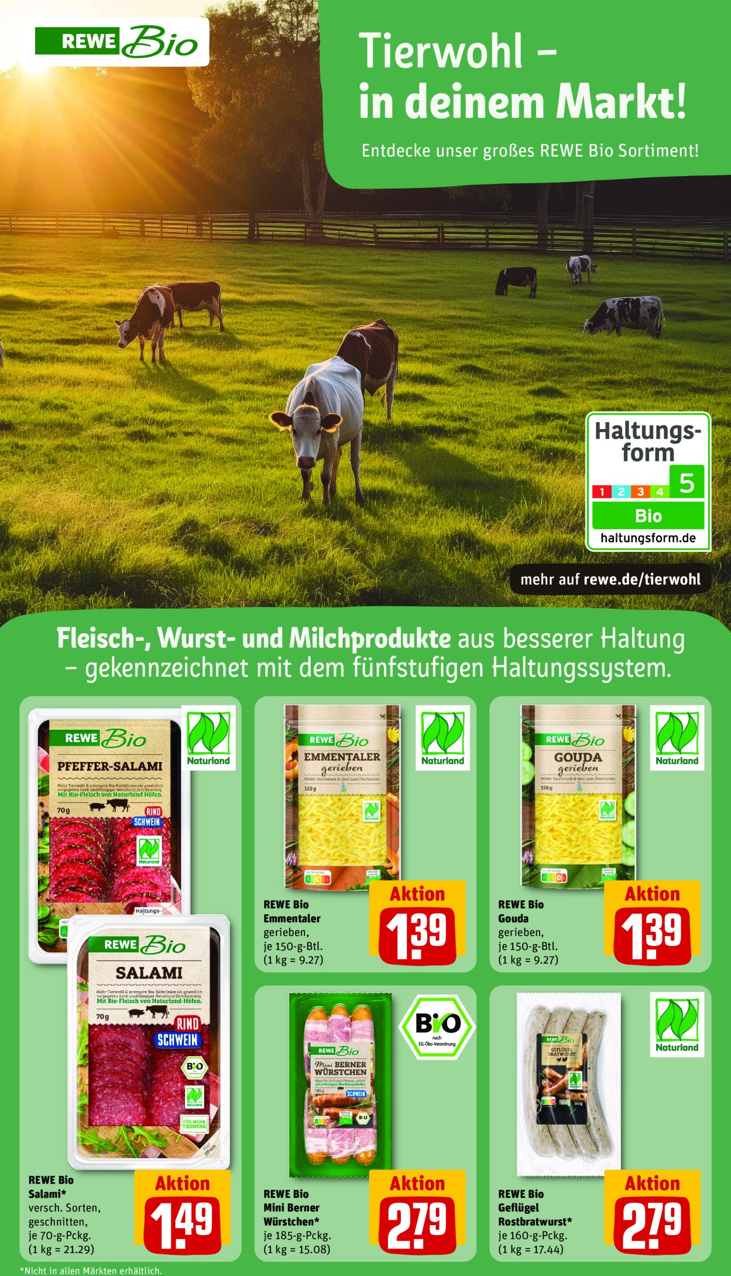 rewe - Rewe-Prospekt gültig vom 10.06. bis 14.06. - page: 27