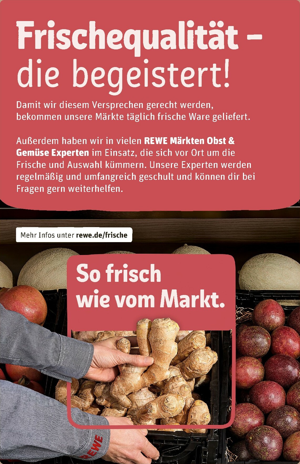 rewe - Rewe-Prospekt gültig vom 22.12. bis 28.12. - page: 27