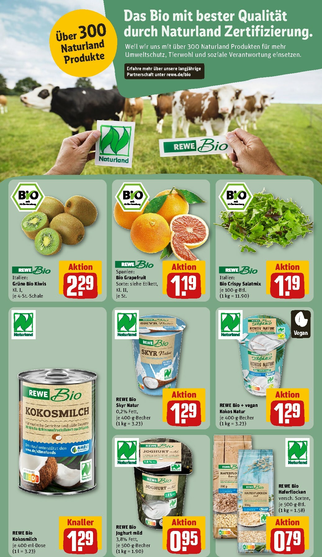 rewe - Rewe-Prospekt gültig vom 16.02.2026 bis 22.02.2026 - page: 18