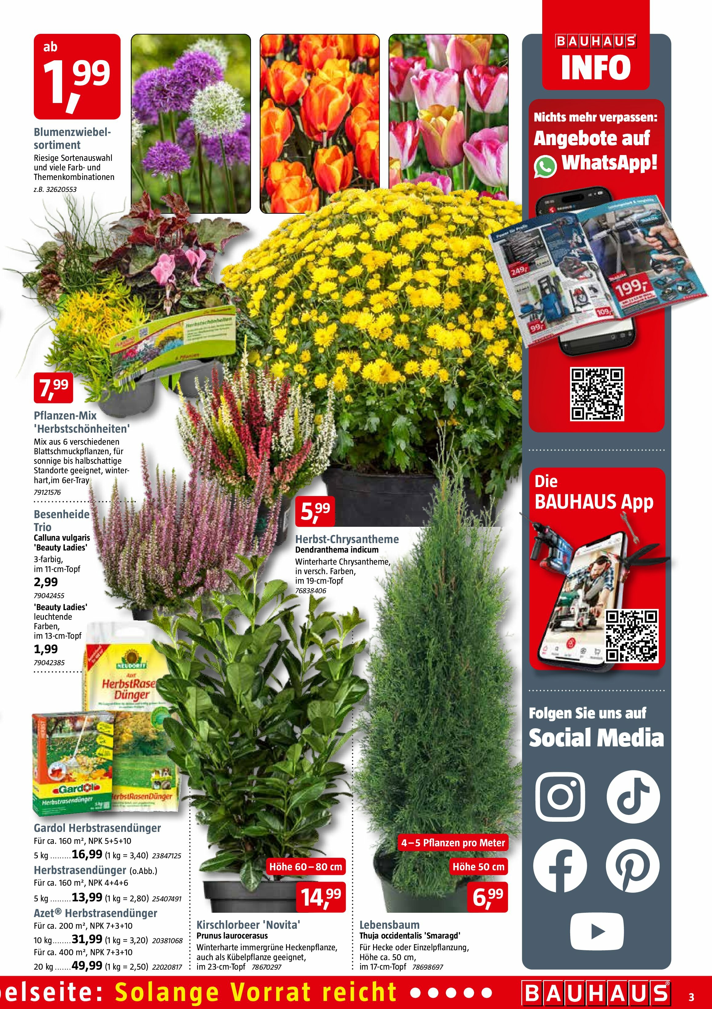 bauhaus - BAUHAUS-Prospekt gültig vom 30.08. bis 04.10. - page: 3