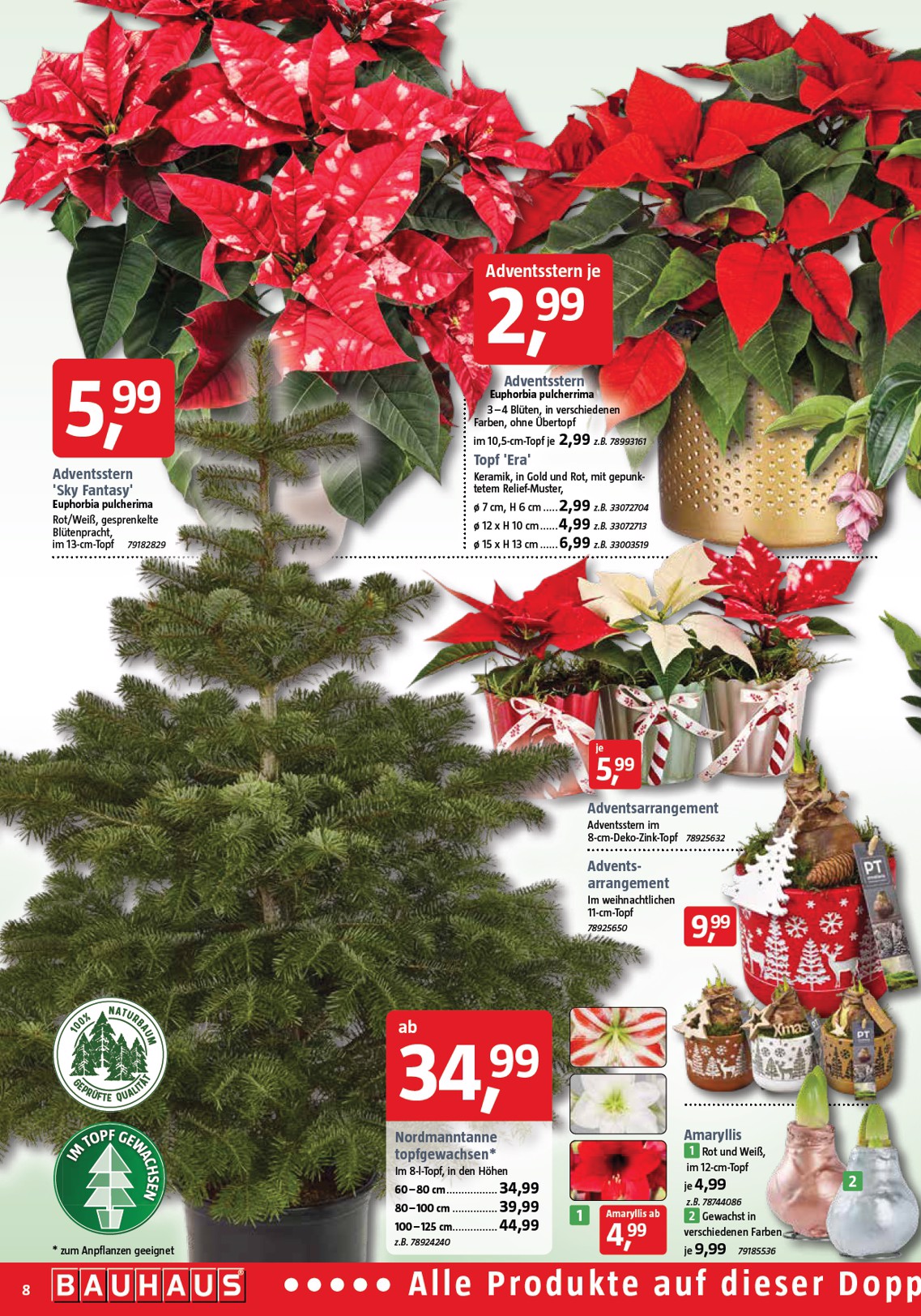 bauhaus - BAUHAUS-Prospekt gültig vom 01.11. bis 29.11. - page: 8