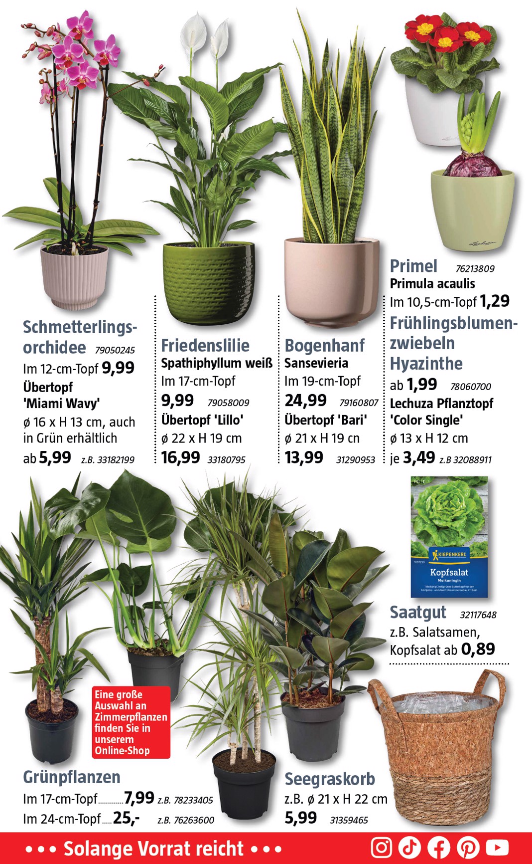 bauhaus - BAUHAUS-Prospekt gültig vom 03.01. bis 31.01. - page: 11