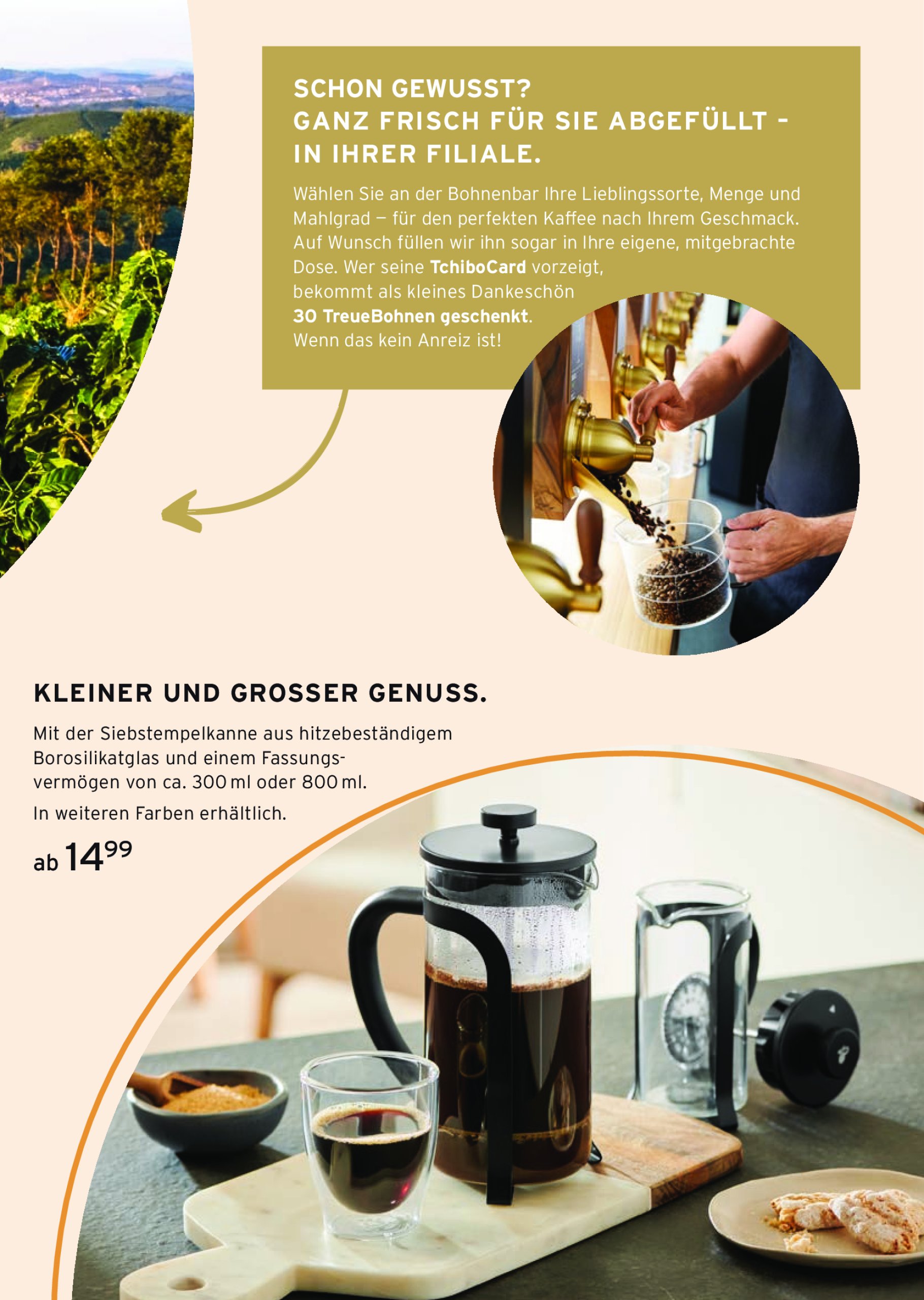 tchibo - Tchibo - Stark durch den Sommer-Prospekt gültig vom 11.06. bis 18.06. - page: 26