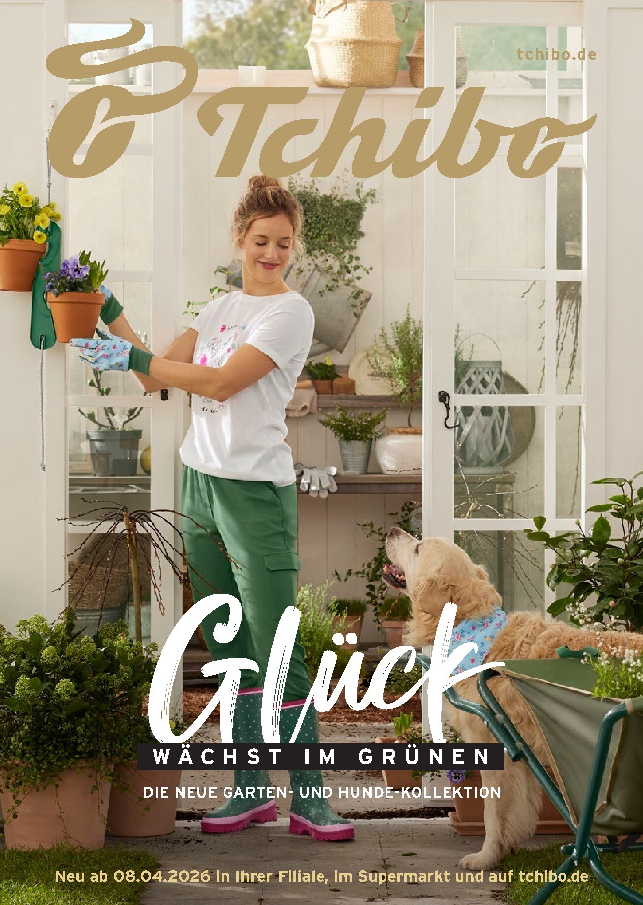 tchibo - Tchibo - Glück wächst im Grünen-Prospekt gültig vom 08.04.2026 bis 21.04.2026 - page: 1