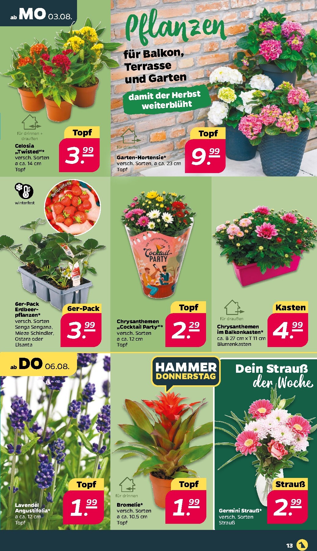 netto - Netto Prospekt nächste Woche – von Sonntag 02.08.2026 bis Samstag 08.08.2026 - page: 15