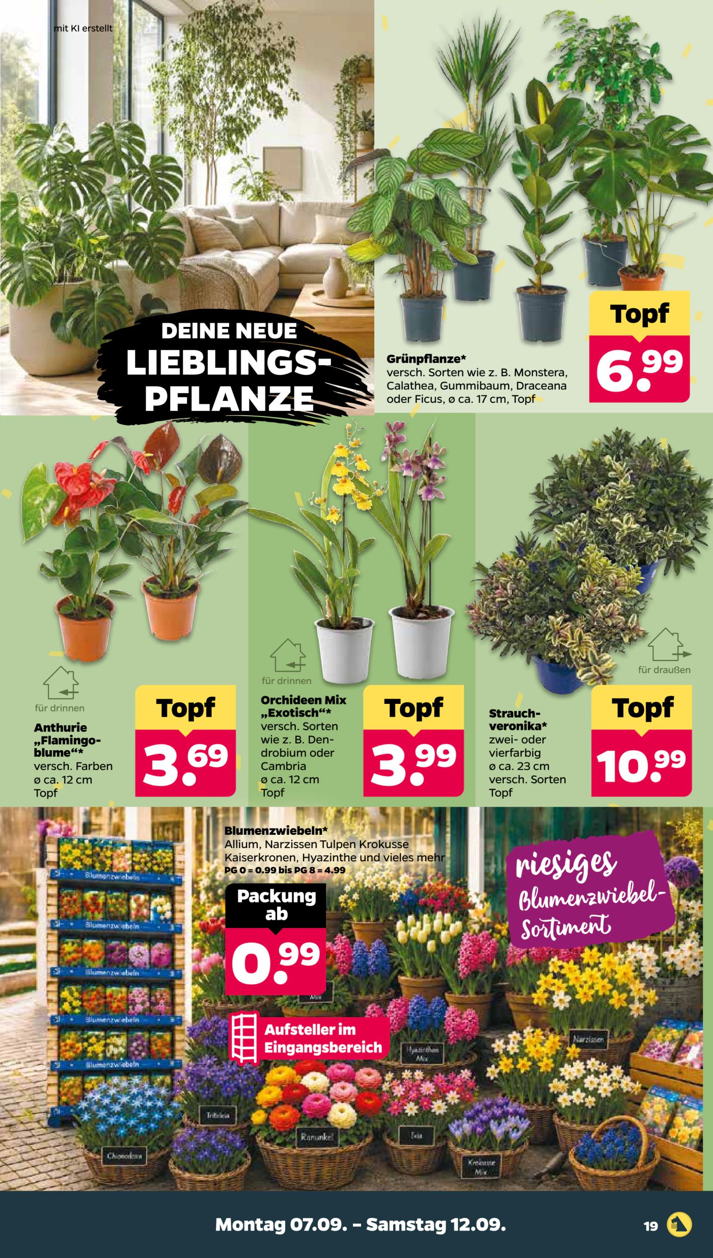 netto - Netto Prospekt nächste Woche – von Montag 07.09.2026 bis Samstag 12.09.2026 - page: 21