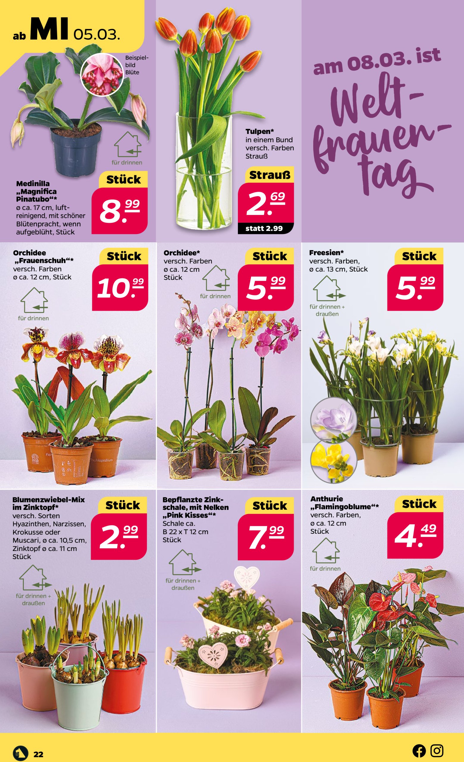 netto - Netto-Prospekt gültig von 03.03. bis 08.03. - page: 22