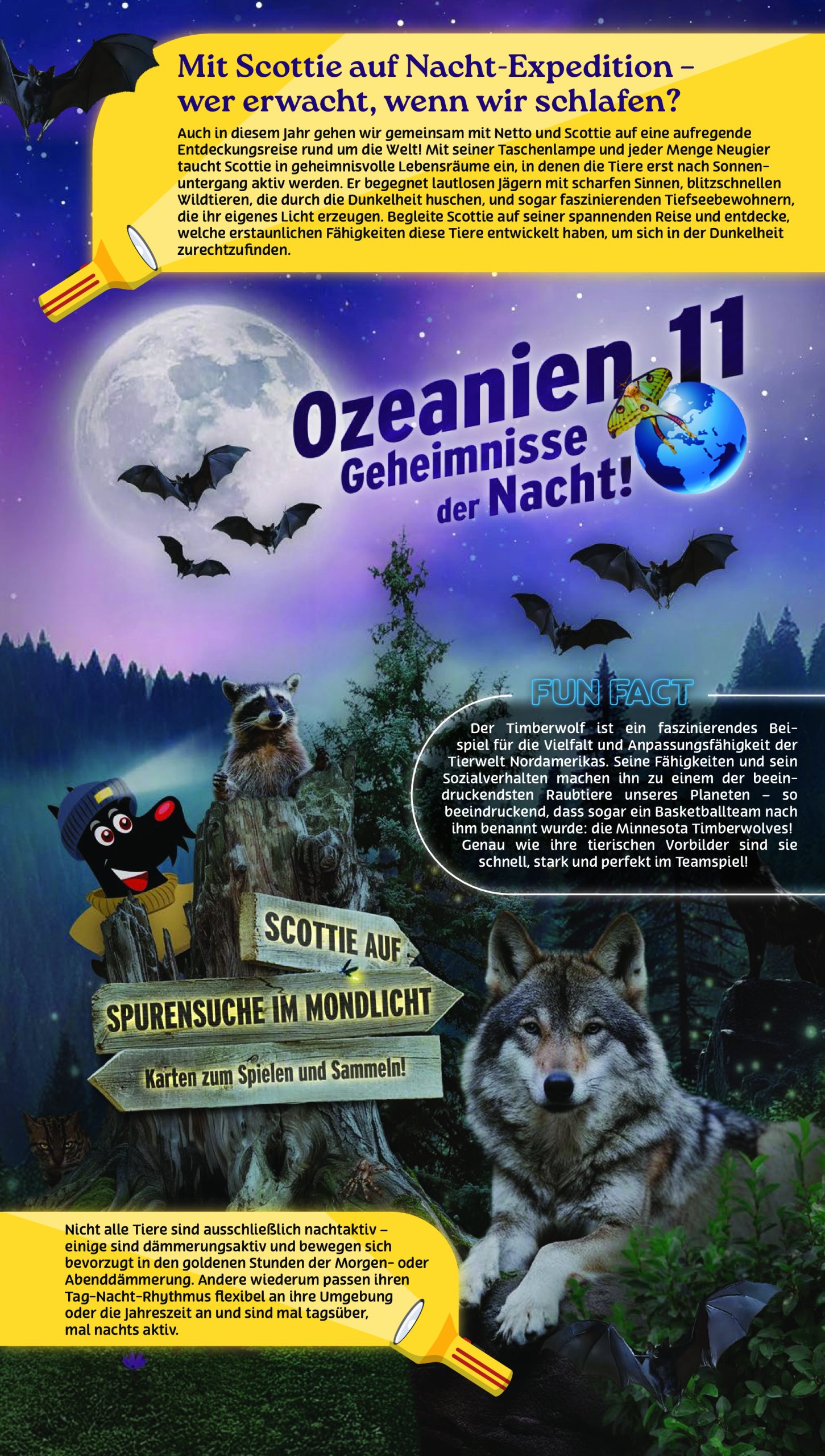 netto - Netto - Sammelaktion-Prospekt gültig vom 21.07. bis 13.09. - page: 3
