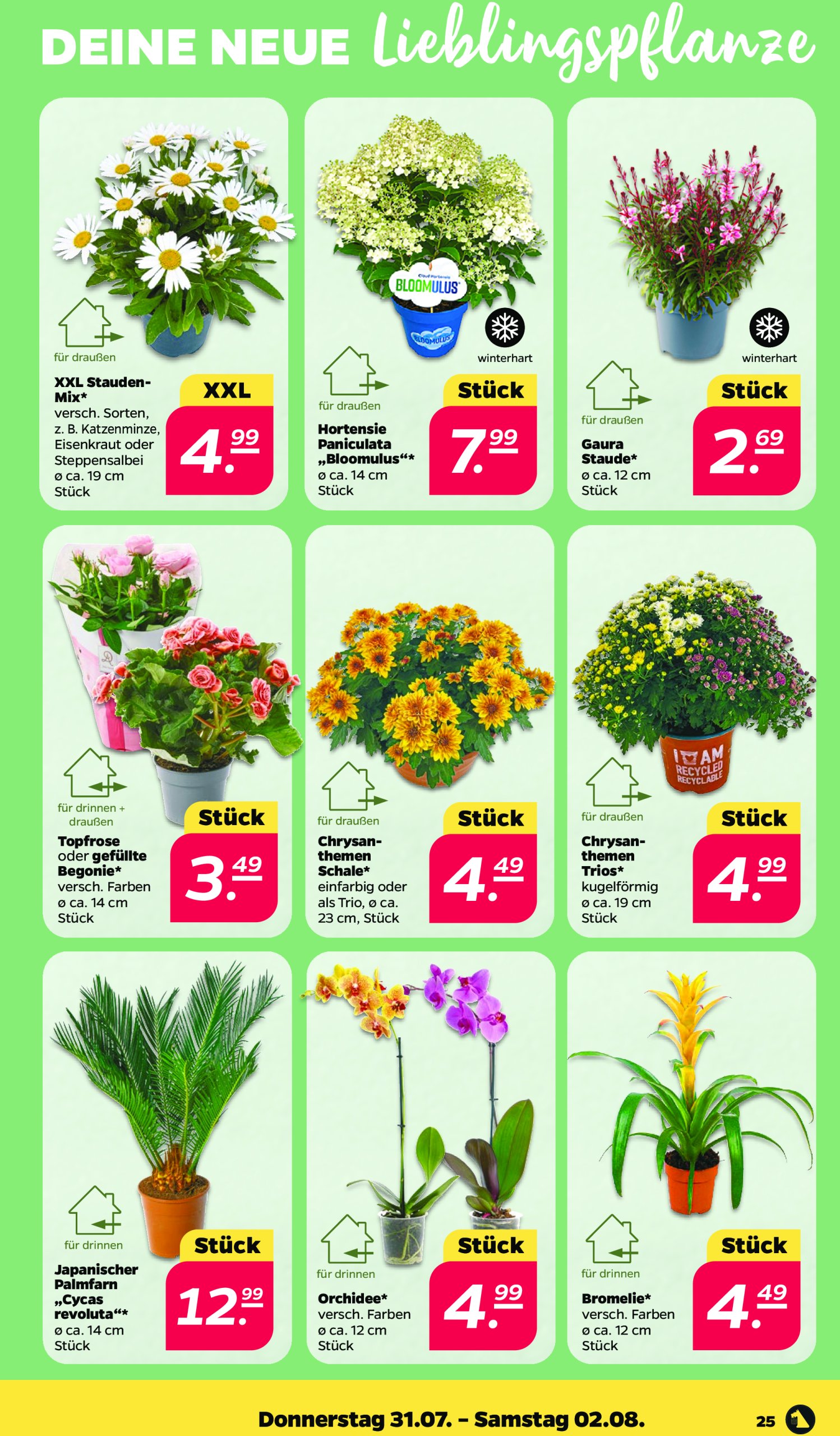 netto - Netto-Prospekt gültig vom 28.07. bis 02.08. - page: 27