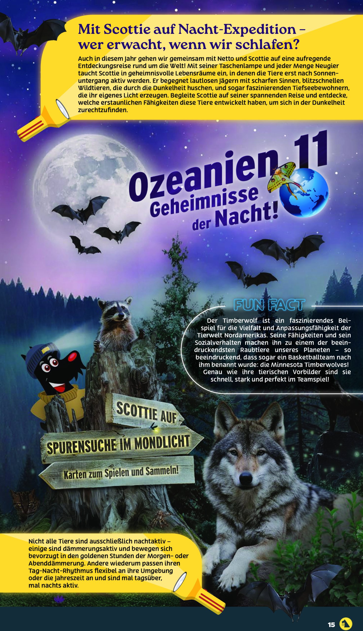 netto - Netto-Prospekt gültig vom 28.07. bis 02.08. - page: 15