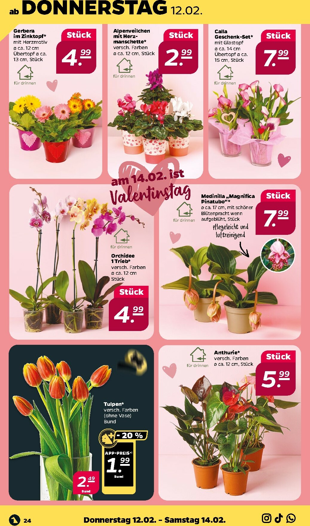 netto - Netto-Prospekt gültig vom 09.02.2026 bis 14.02.2026 - page: 28