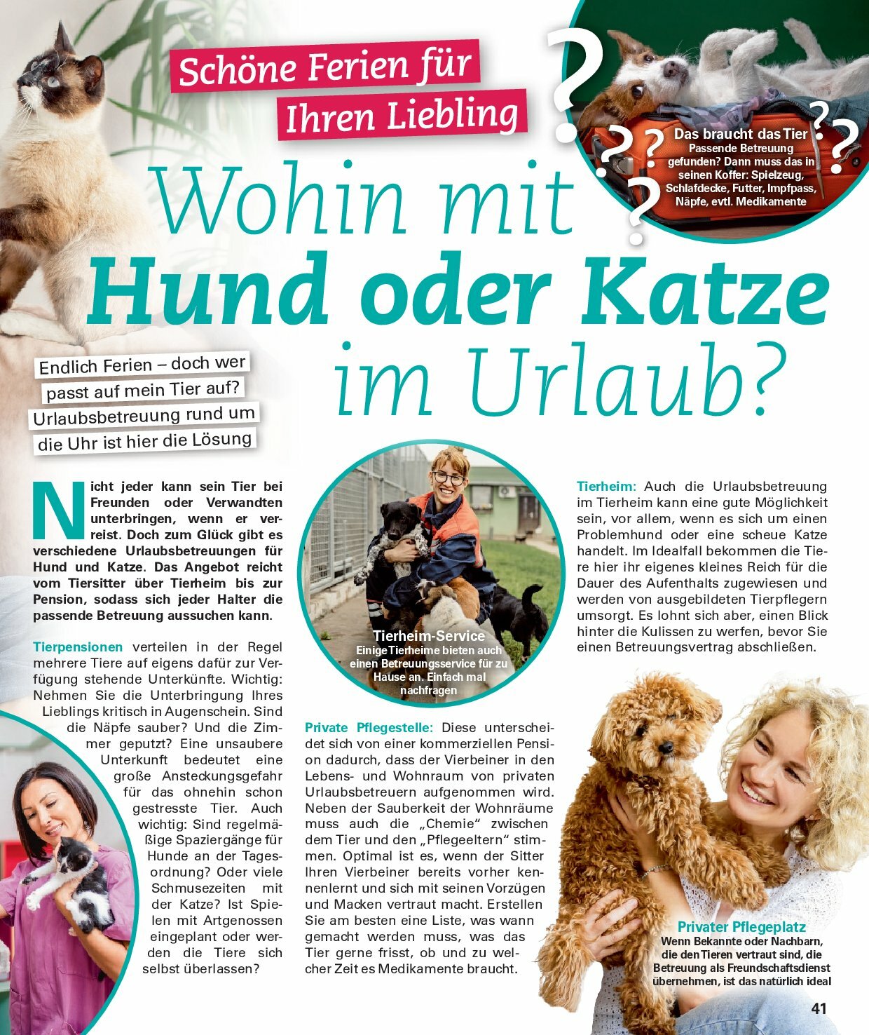 poco - Poco - Sommer Wohnwelt-Prospekt gültig vom 23.06. bis 31.08. - page: 41