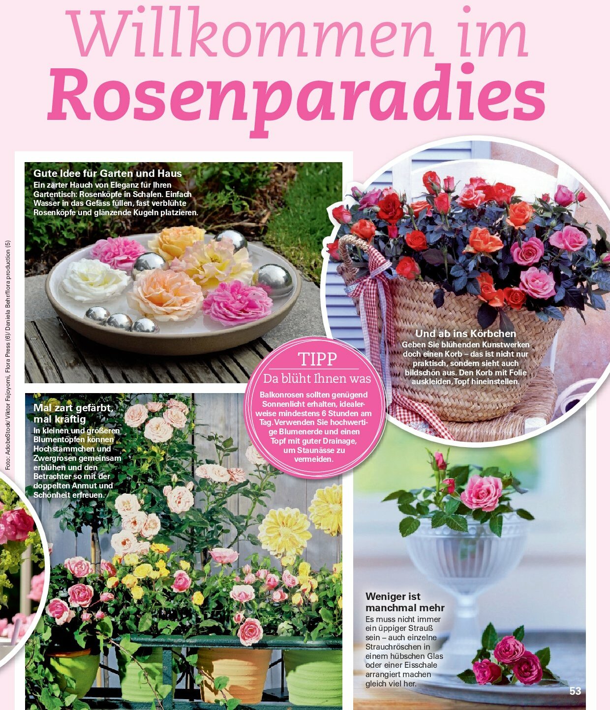 poco - Poco - Sommer Wohnwelt-Prospekt gültig vom 23.06. bis 31.08. - page: 53