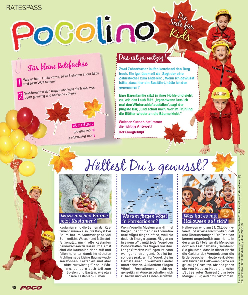 poco - Poco - Wohnwelt Herbst-Prospekt gültig vom 01.09. bis 30.11. - page: 48