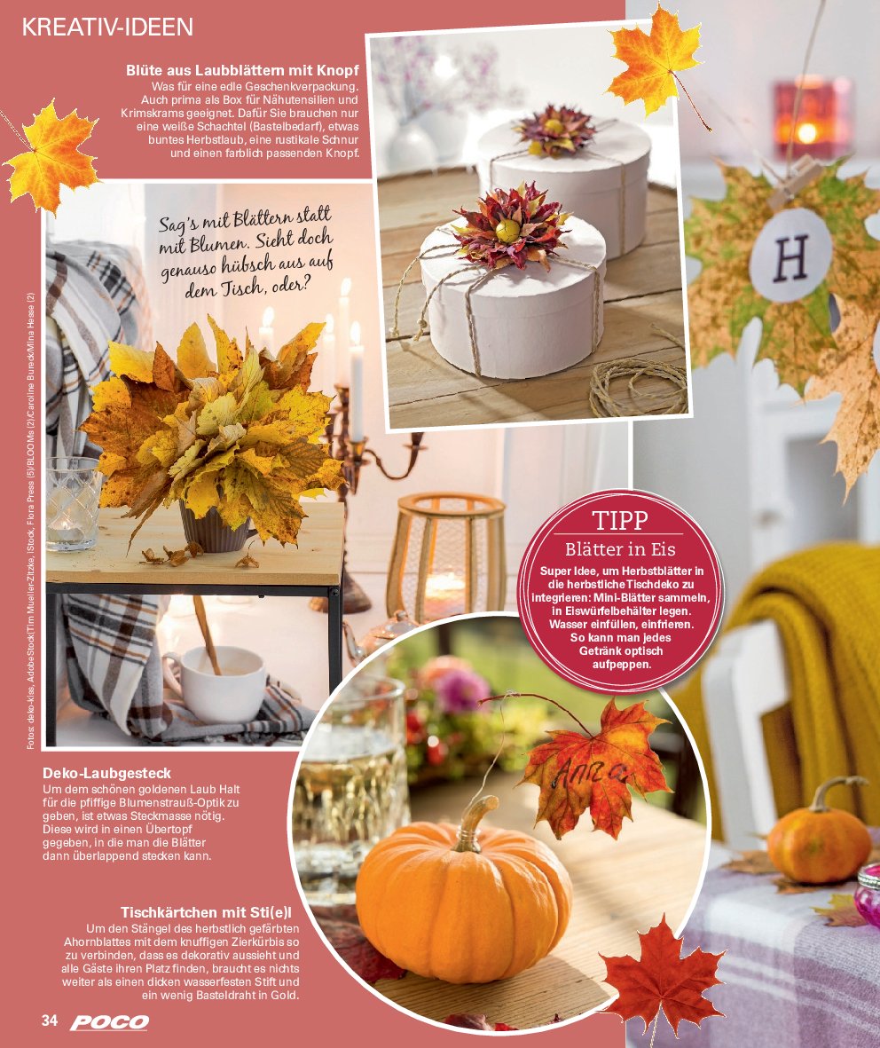 poco - Poco - Wohnwelt Herbst-Prospekt gültig vom 01.09. bis 30.11. - page: 34