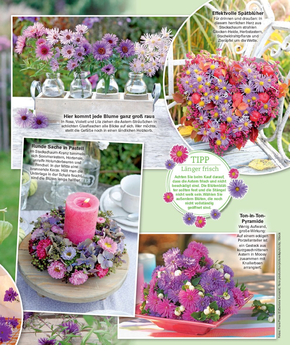 poco - Poco - Wohnwelt Herbst-Prospekt gültig vom 01.09. bis 30.11. - page: 53