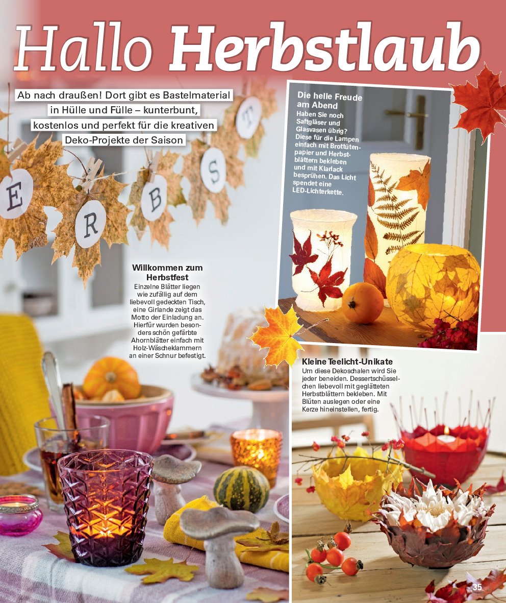 poco - Poco - Wohnwelt Herbst-Prospekt gültig vom 01.09. bis 30.11. - page: 35