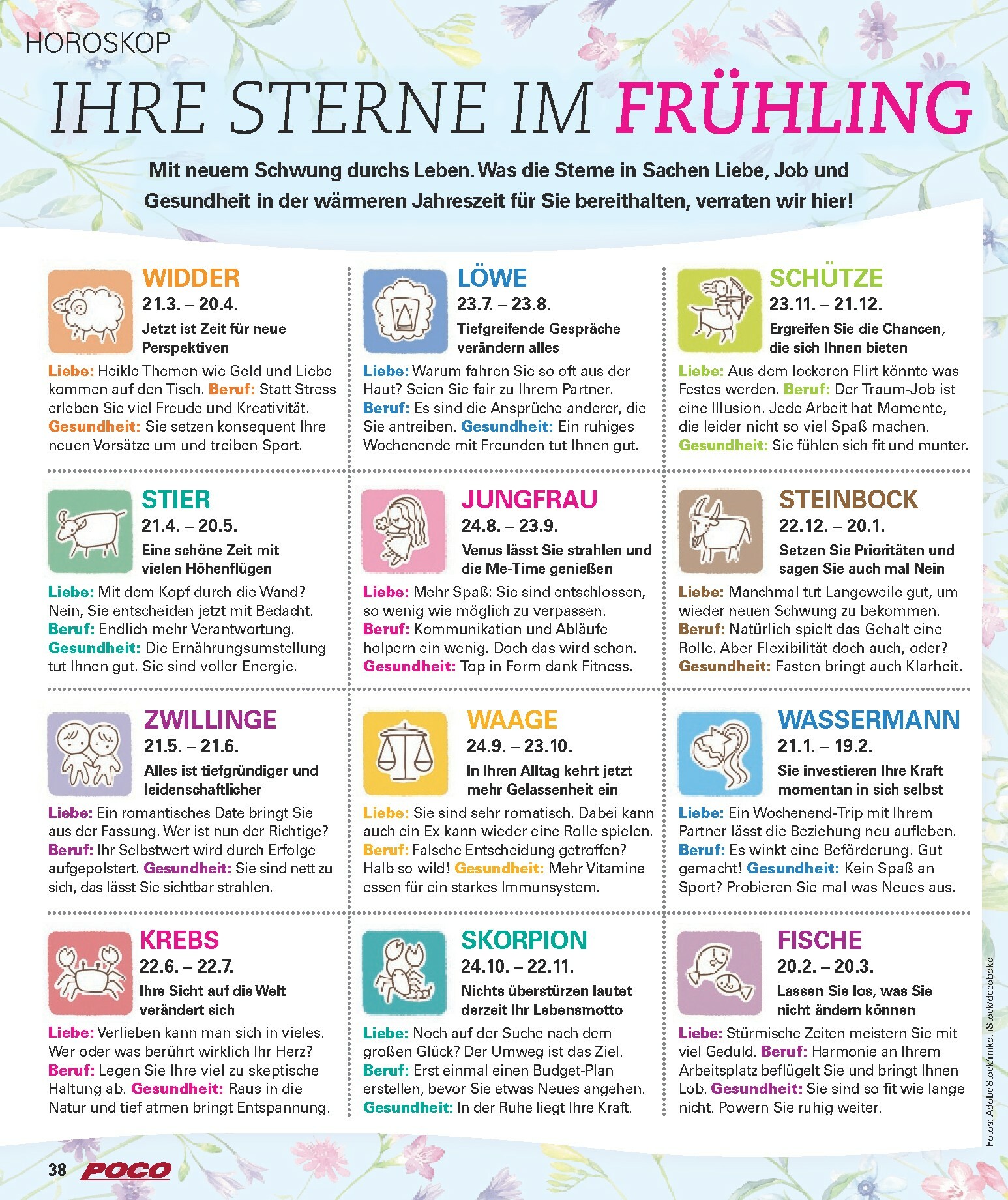 poco - Poco-Prospekt gültig vom 16.02.2026 bis 31.05.2026 - page: 38